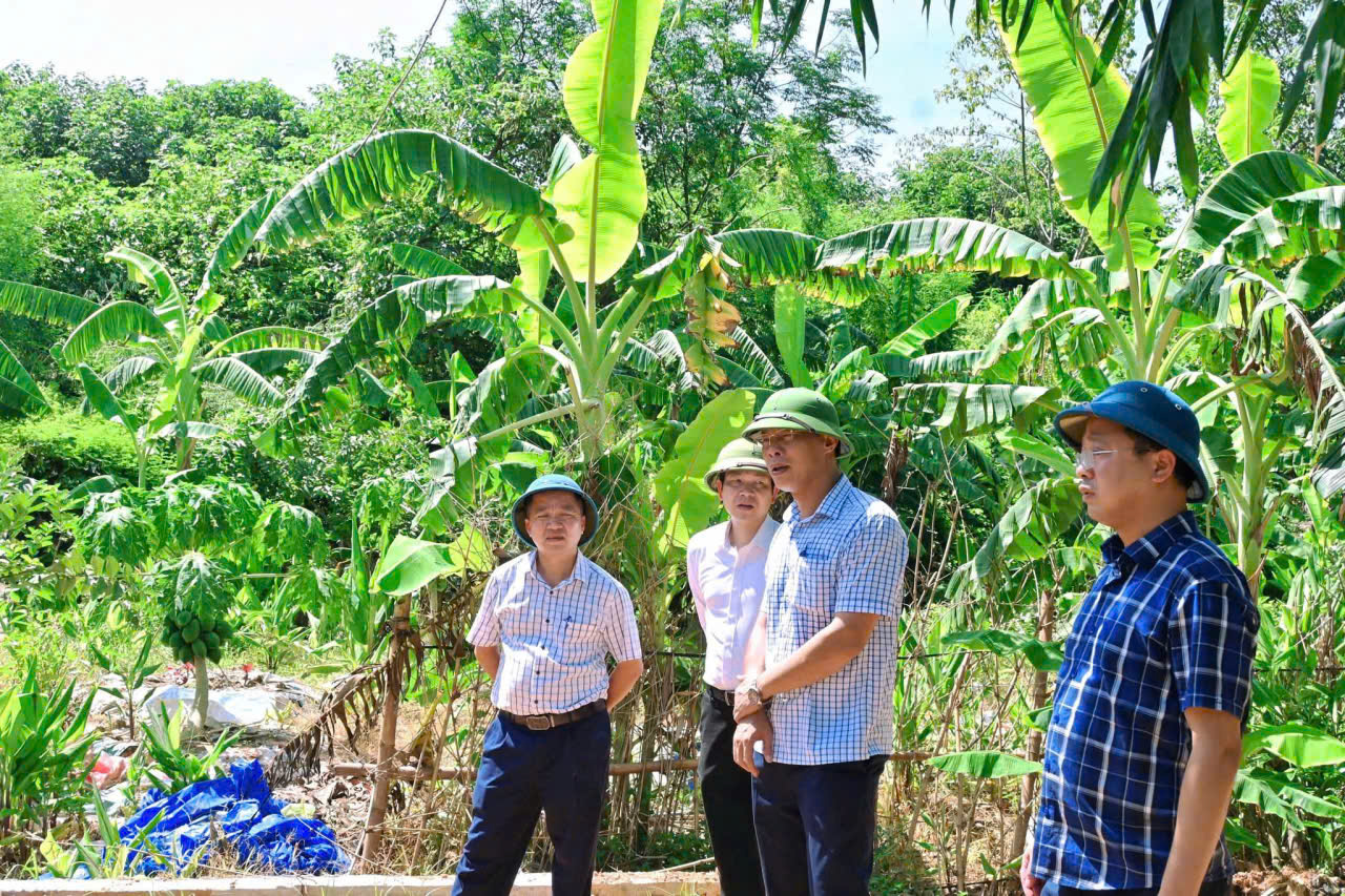 Ph&uacute; Thọ siết chặt quản l&yacute; trật tự x&acirc;y dựng sau s&aacute;p nhập địa giới h&agrave;nh ch&iacute;nh- Ảnh 1.