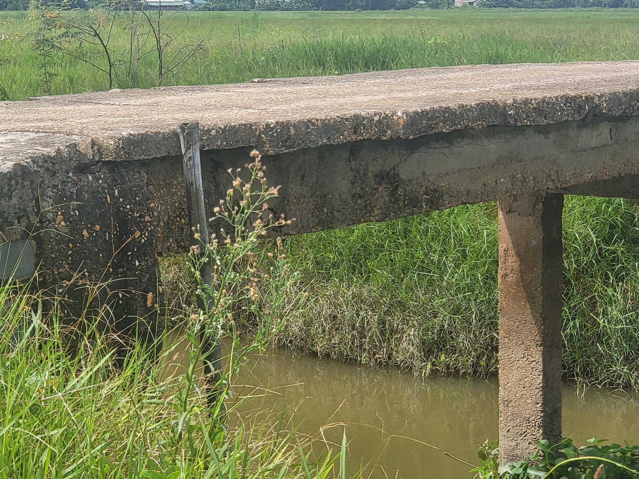 Nhiều cầu d&acirc;n sinh tại H&agrave; Tĩnh xuống cấp nghi&ecirc;m trọng, người d&acirc;n thấp thỏm m&ugrave;a mưa lũ- Ảnh 4.