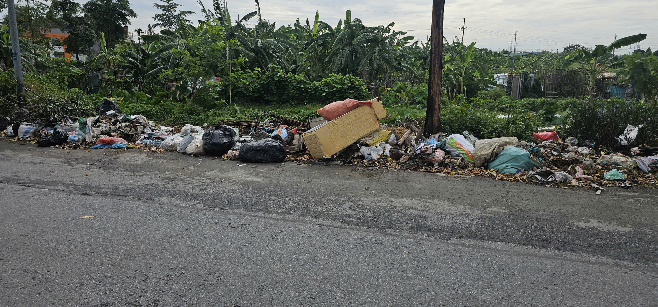 Xã vùng ven Thủ đô từ "điểm đen" rác thải đến rực rỡ đường hoa - Ảnh 16. Xã vùng ven Thủ đô từ "điểm đen" rác thải đến rực rỡ đường hoa - Ảnh 16.