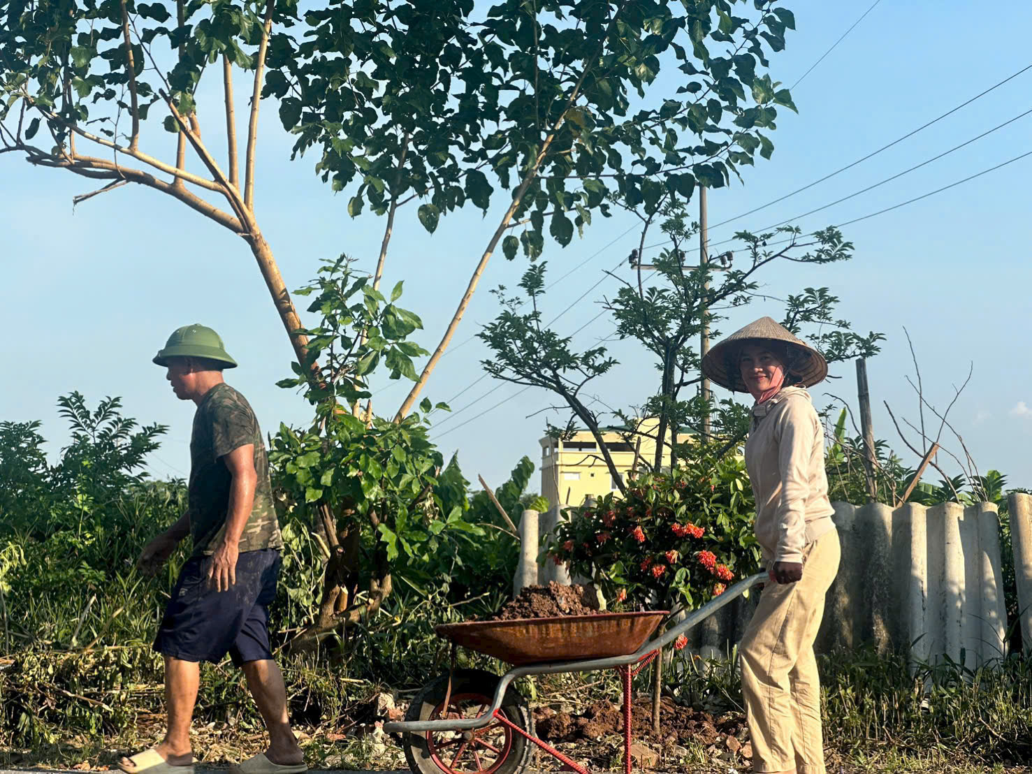 Xã vùng ven Thủ đô từ "điểm đen" rác thải đến rực rỡ đường hoa - Ảnh 21. Xã vùng ven Thủ đô từ "điểm đen" rác thải đến rực rỡ đường hoa - Ảnh 21.