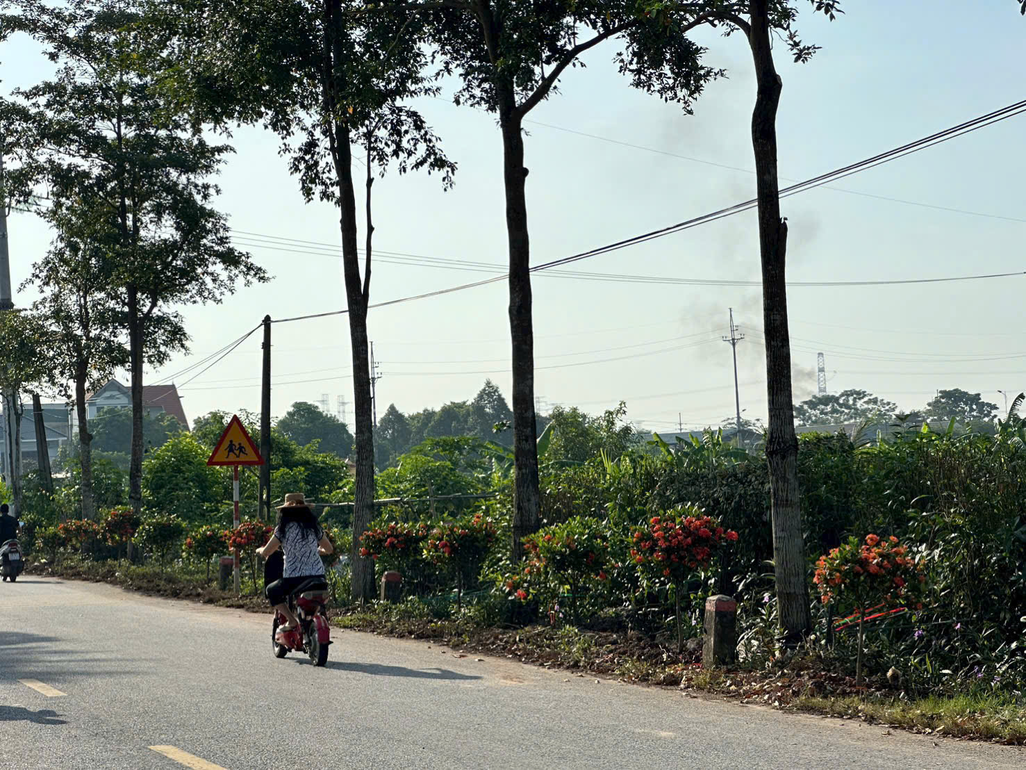 Xã vùng ven Thủ đô từ "điểm đen" rác thải đến rực rỡ đường hoa - Ảnh 22. Xã vùng ven Thủ đô từ "điểm đen" rác thải đến rực rỡ đường hoa - Ảnh 22.