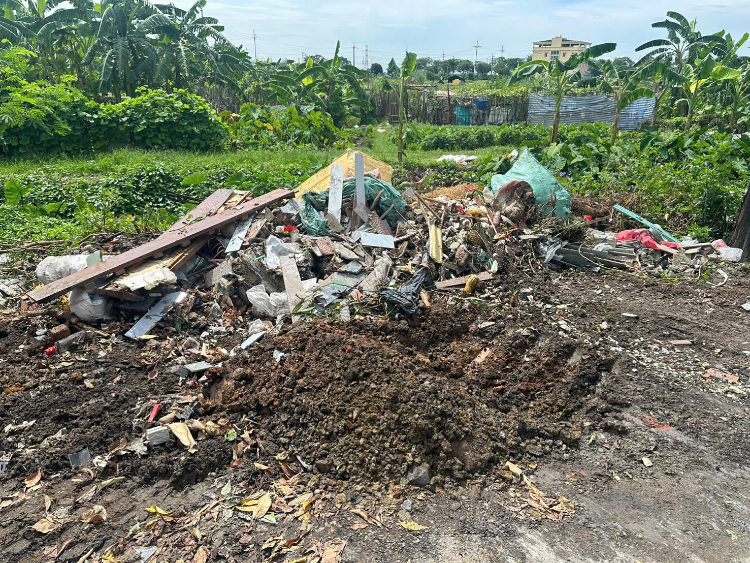 Xã vùng ven Thủ đô từ "điểm đen" rác thải đến rực rỡ đường hoa - Ảnh 15. Xã vùng ven Thủ đô từ "điểm đen" rác thải đến rực rỡ đường hoa - Ảnh 15.