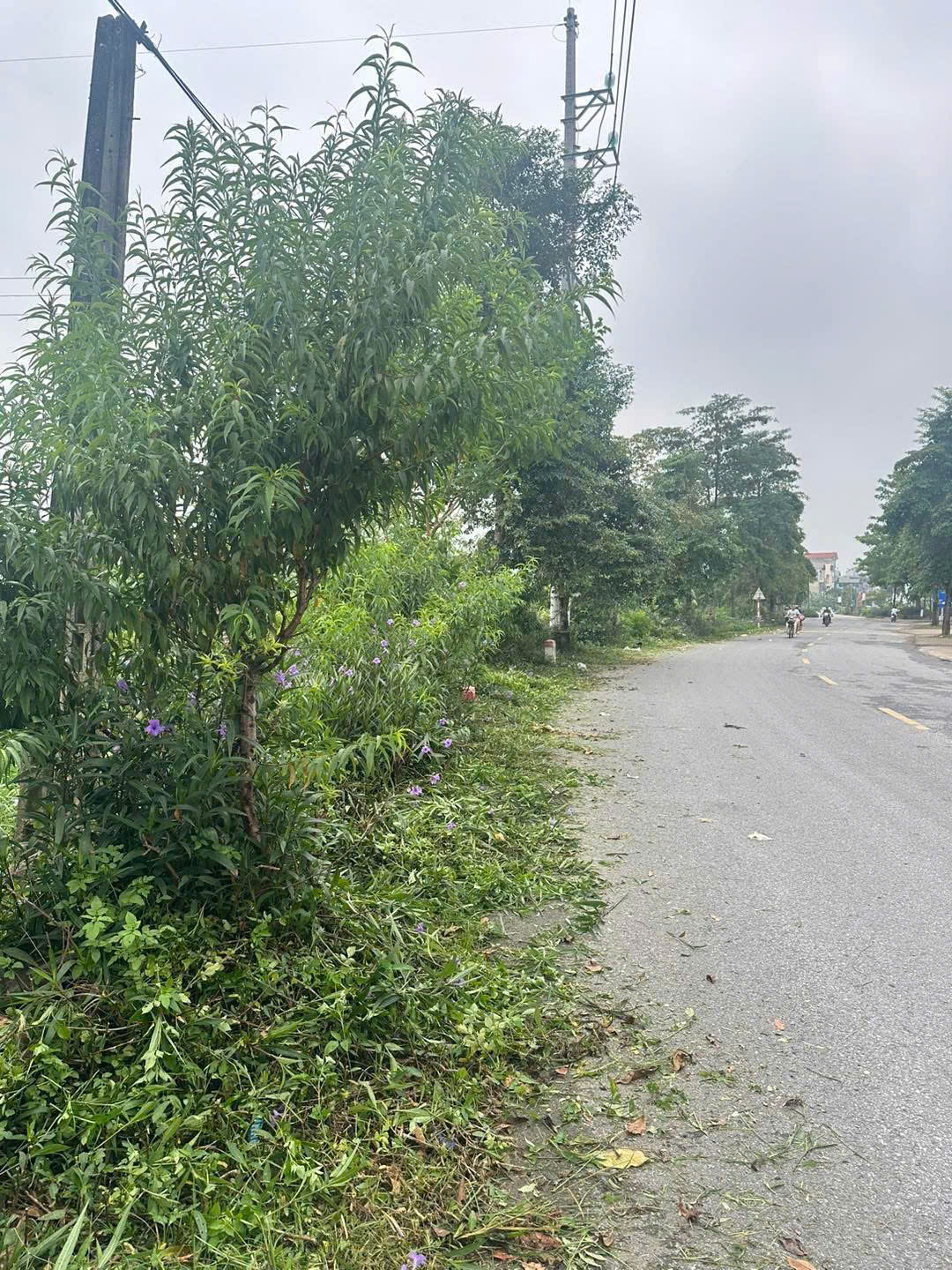 Xã vùng ven Thủ đô từ "điểm đen" rác thải đến rực rỡ đường hoa - Ảnh 17. Xã vùng ven Thủ đô từ "điểm đen" rác thải đến rực rỡ đường hoa - Ảnh 17.