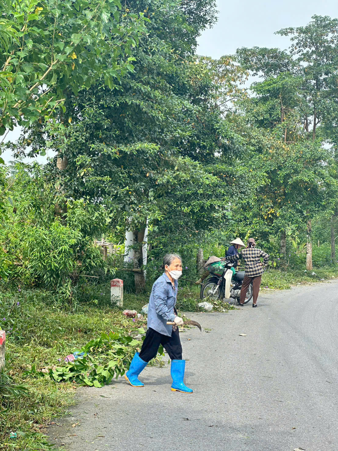 Xã vùng ven Thủ đô từ "điểm đen" rác thải đến rực rỡ đường hoa - Ảnh 11. Xã vùng ven Thủ đô từ "điểm đen" rác thải đến rực rỡ đường hoa - Ảnh 11.