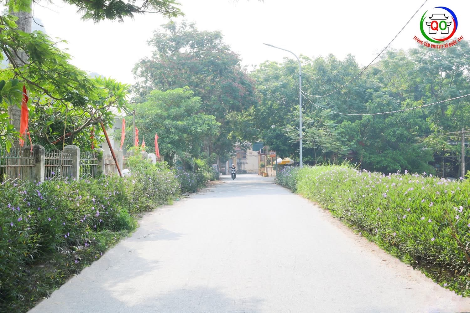 Xã vùng ven Thủ đô từ "điểm đen" rác thải đến rực rỡ đường hoa - Ảnh 18. Xã vùng ven Thủ đô từ "điểm đen" rác thải đến rực rỡ đường hoa - Ảnh 18.