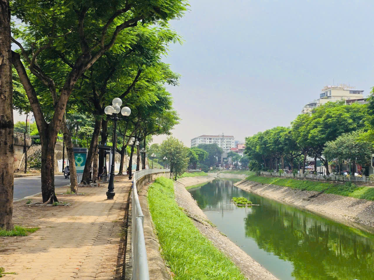 Người d&acirc;n Thủ đ&ocirc; ngỡ ng&agrave;ng khi thấy s&ocirc;ng T&ocirc; Lịch đổi m&agrave;u trong xanh- Ảnh 11.
