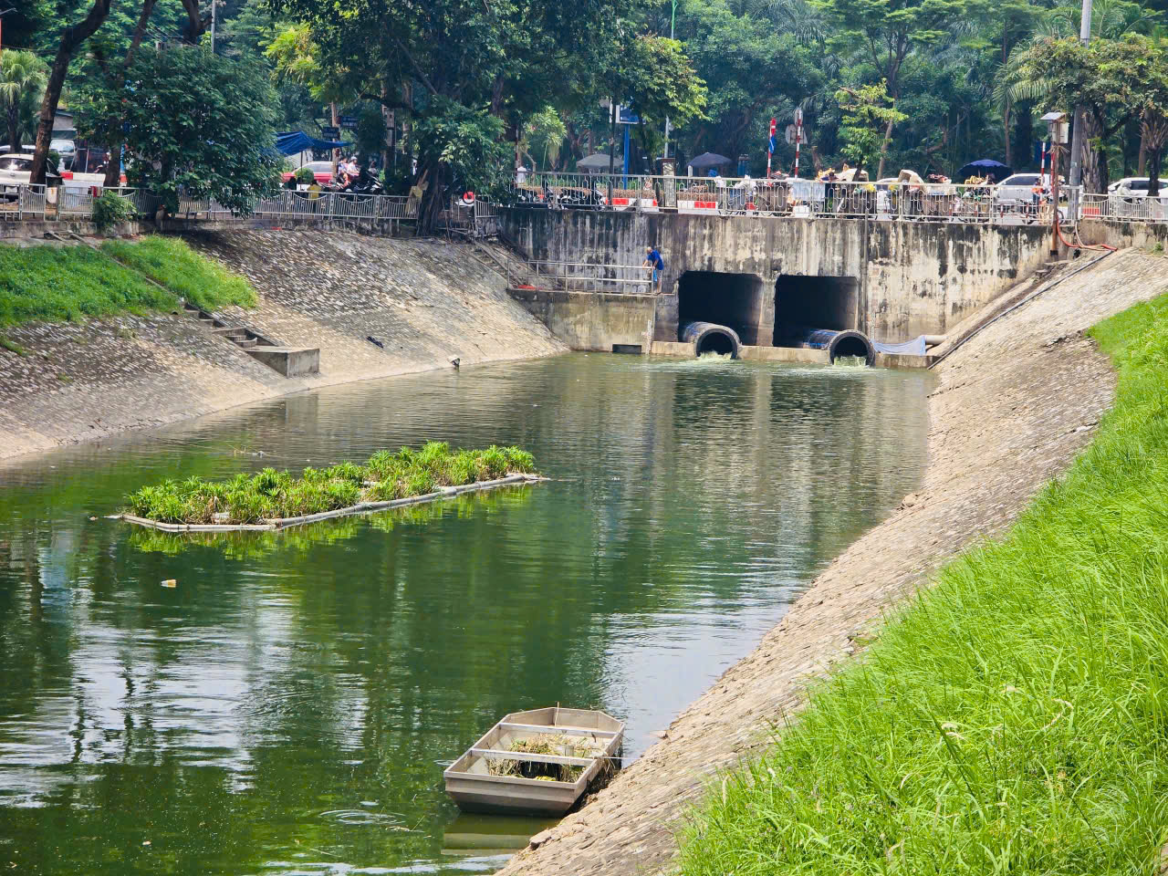 Người d&acirc;n Thủ đ&ocirc; ngỡ ng&agrave;ng khi thấy s&ocirc;ng T&ocirc; Lịch đổi m&agrave;u trong xanh- Ảnh 12.