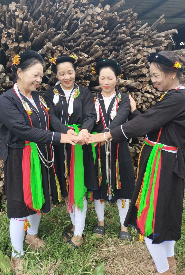 Thái Nguyên: Vùng quê nghèo cách trở thành điểm sáng nông thôn mới- Ảnh 6. Thái Nguyên: Vùng quê nghèo cách trở thành điểm sáng nông thôn mới- Ảnh 6.