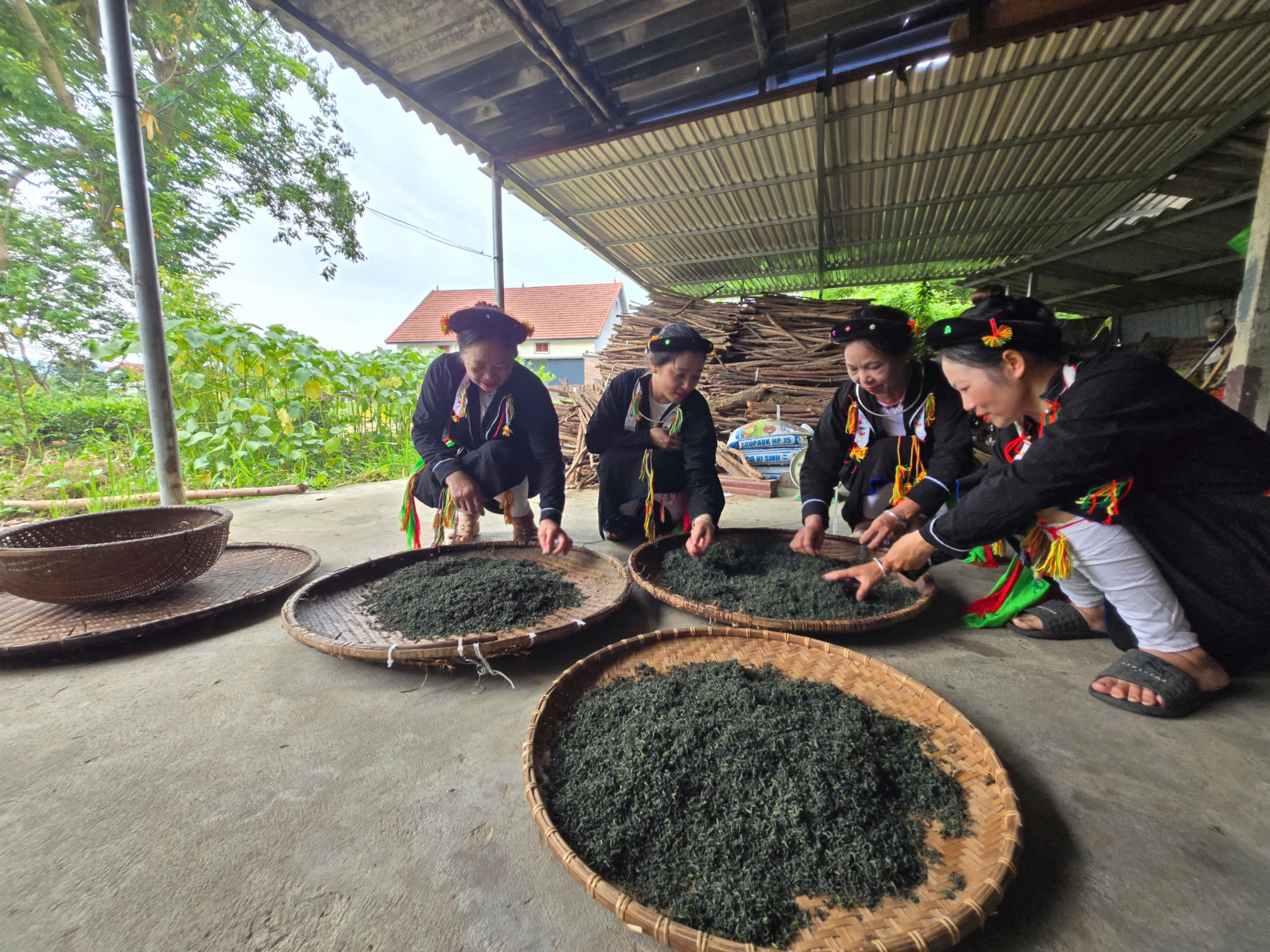 Thái Nguyên: Vùng quê nghèo cách trở thành điểm sáng nông thôn mới- Ảnh 4. Thái Nguyên: Vùng quê nghèo cách trở thành điểm sáng nông thôn mới- Ảnh 4.