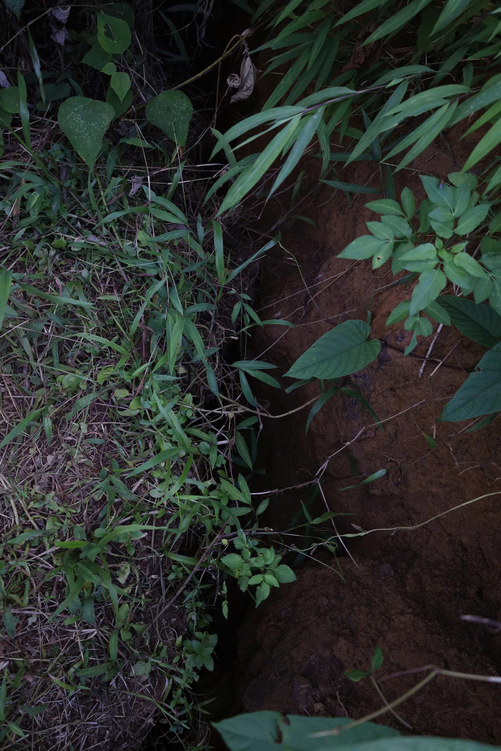 Hà Nội: Xã vùng ven di dân khẩn cấp vì sạt lở, căng sức khắc phục hậu quả- Ảnh 6. Hà Nội: Xã vùng ven di dân khẩn cấp vì sạt lở, căng sức khắc phục hậu quả- Ảnh 6.