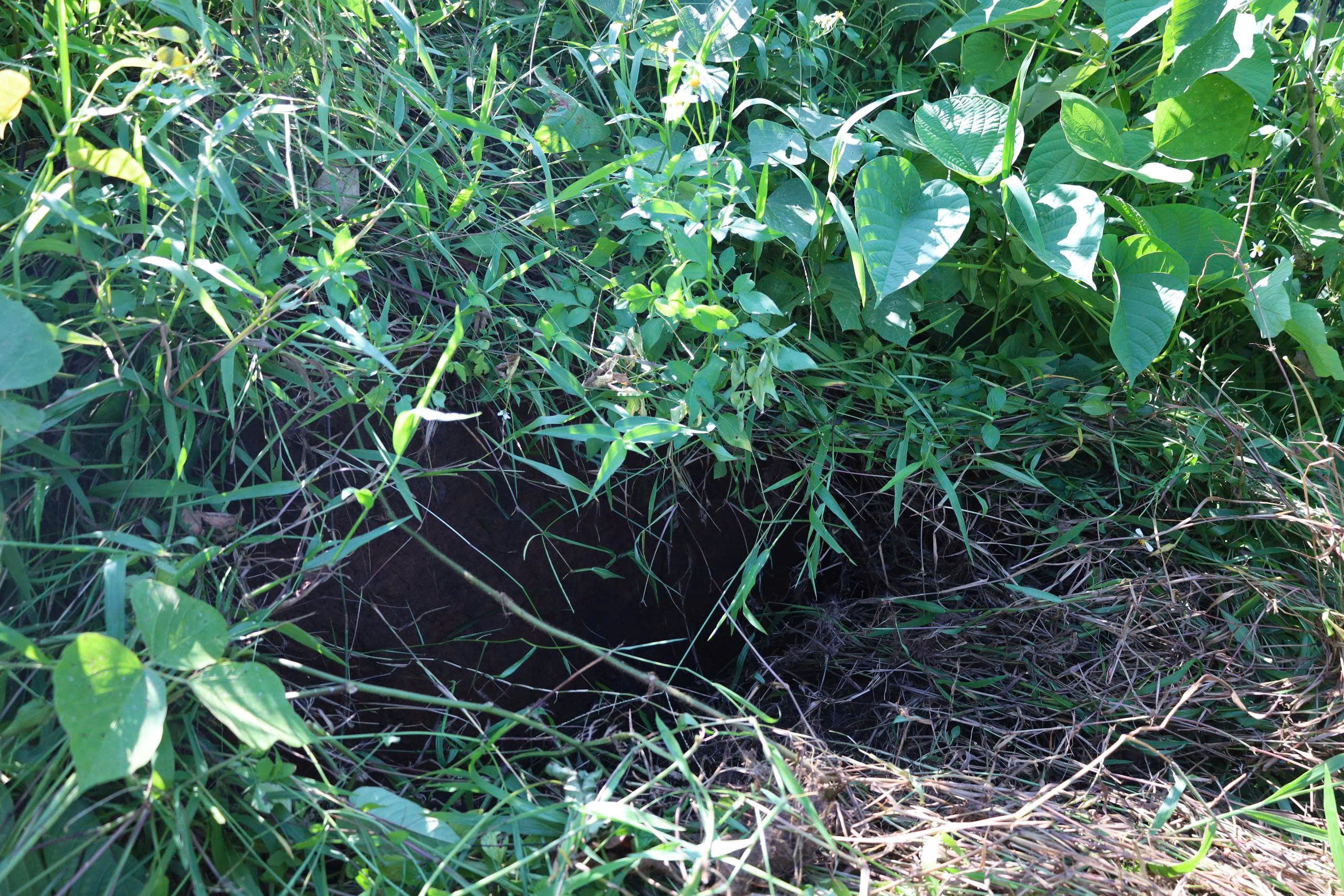 Hà Nội: Xã vùng ven di dân khẩn cấp vì sạt lở, căng sức khắc phục hậu quả- Ảnh 5. Hà Nội: Xã vùng ven di dân khẩn cấp vì sạt lở, căng sức khắc phục hậu quả- Ảnh 5.