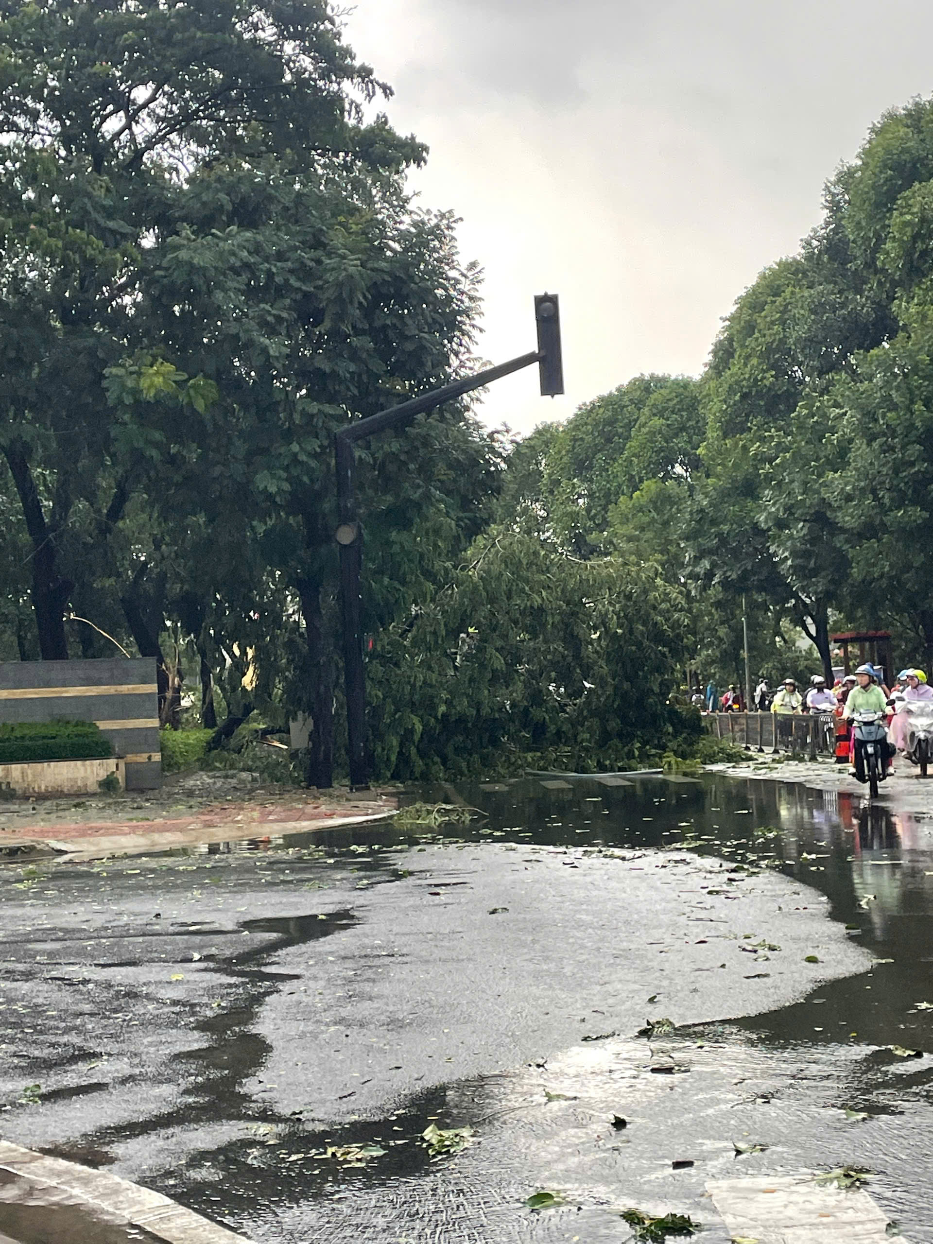 TP.HCM: Mưa d&ocirc;ng g&acirc;y ngập s&acirc;u, c&acirc;y xanh g&atilde;y đổ, m&aacute;i t&ocirc;n bay giữa đường- Ảnh 9.