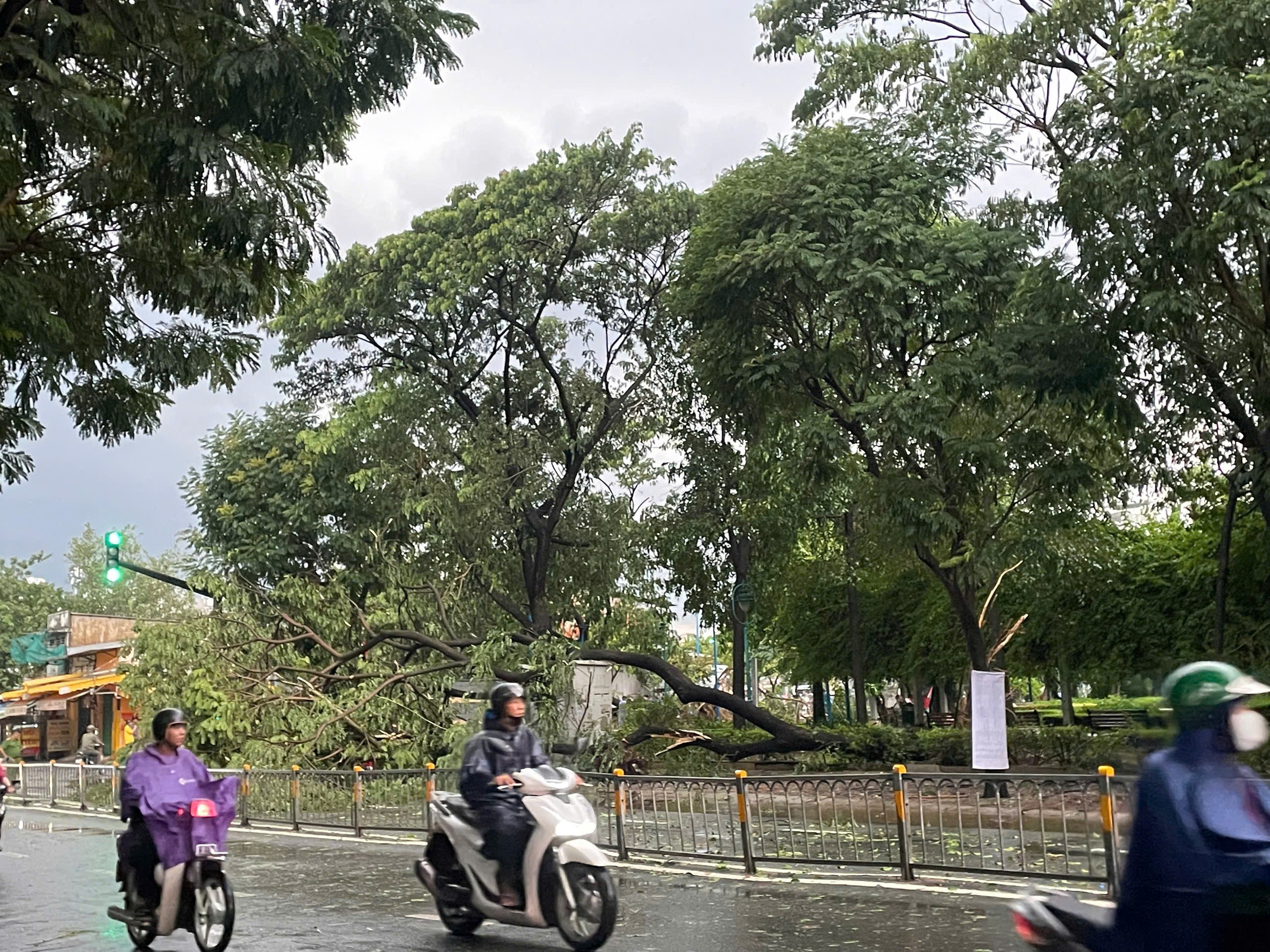 TP.HCM: Mưa d&ocirc;ng g&acirc;y ngập s&acirc;u, c&acirc;y xanh g&atilde;y đổ, m&aacute;i t&ocirc;n bay giữa đường- Ảnh 10.