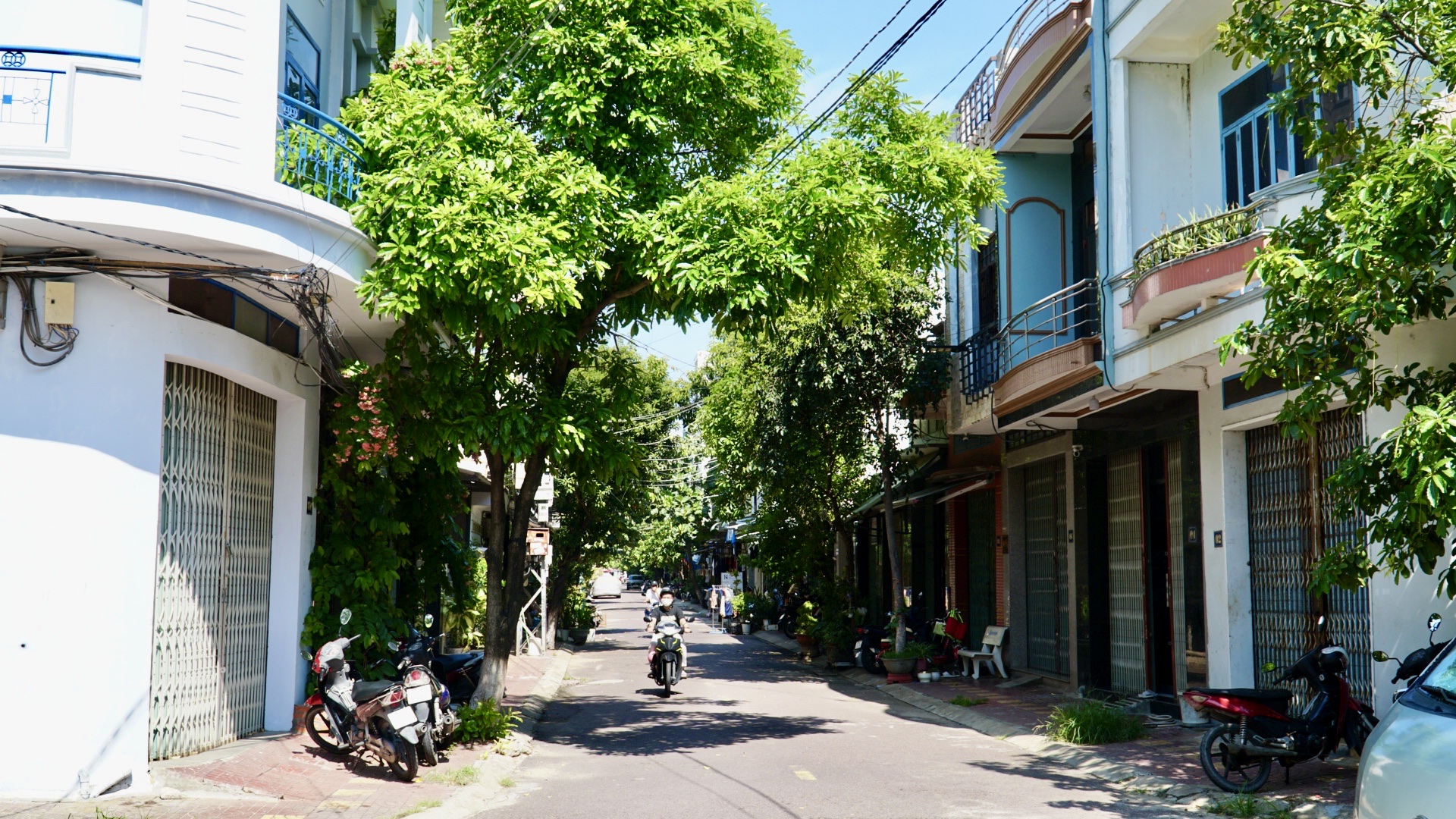 Gia Lai: Người d&acirc;n phản &aacute;nh m&ugrave;i h&ocirc;i từ cơ sở chế biến mực trong khu d&acirc;n cư- Ảnh 2.