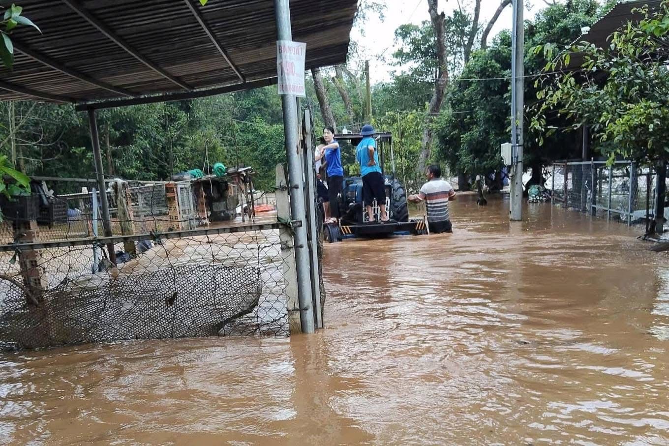 Nước s&ocirc;ng Bu&ocirc;ng d&acirc;ng cao, h&agrave;ng trăm hộ d&acirc;n Đồng Nai khổ sở chạy lũ- Ảnh 3.