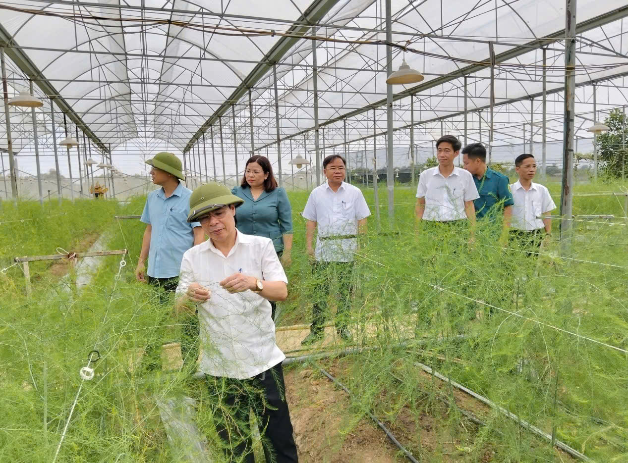 Phú Thọ: Hoàng An hướng tới mục tiêu xã Nông thôn mới kiểu mẫu- Ảnh 3. Phú Thọ: Hoàng An hướng tới mục tiêu xã Nông thôn mới kiểu mẫu- Ảnh 3.