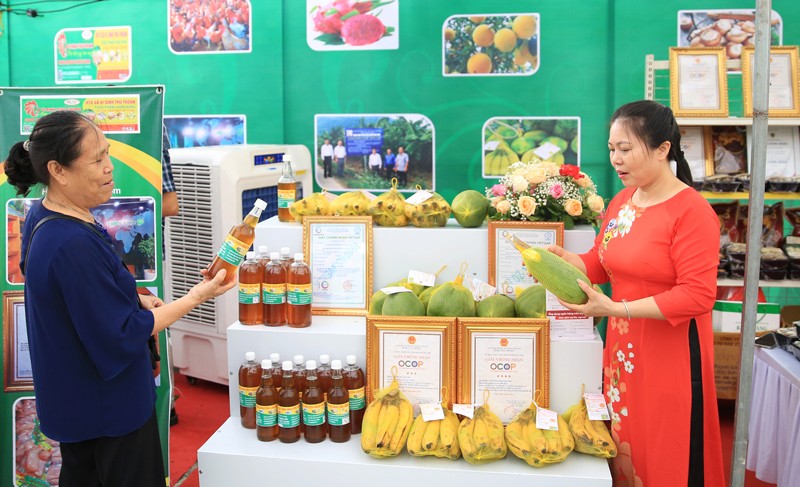 Hà Nội bứt phá trong xây dựng nông thôn mới- Ảnh 2. Hà Nội bứt phá trong xây dựng nông thôn mới- Ảnh 2.