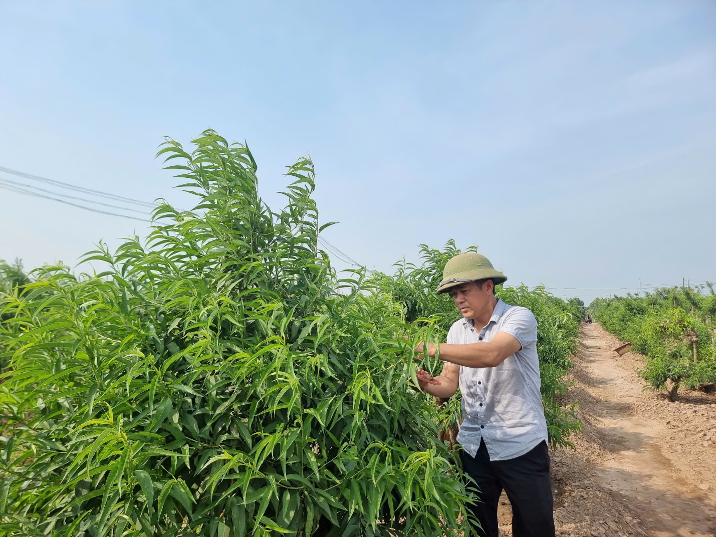 Hà Nội bứt phá trong xây dựng nông thôn mới- Ảnh 4. Hà Nội bứt phá trong xây dựng nông thôn mới- Ảnh 4.