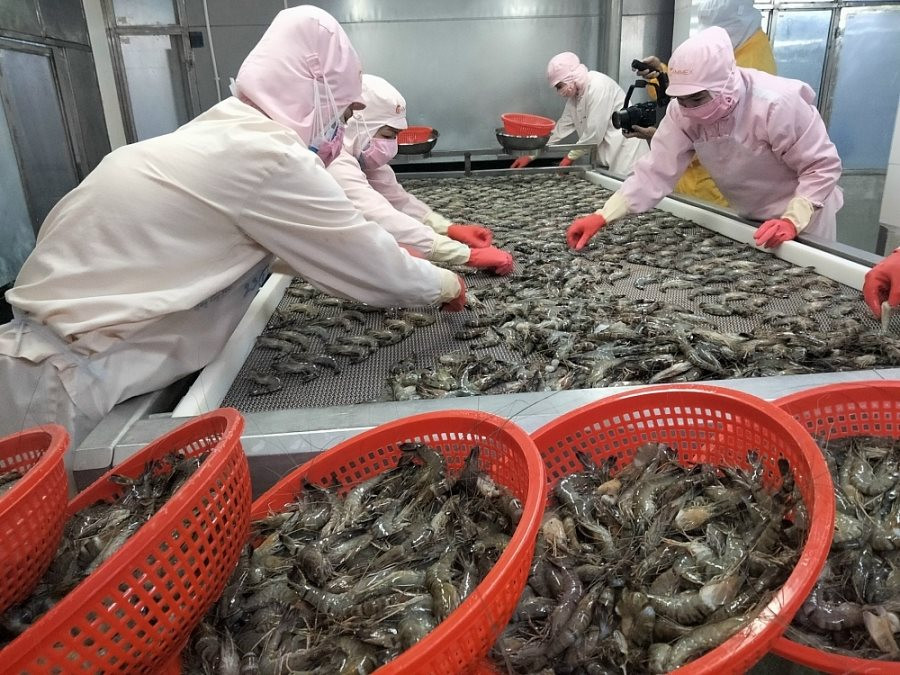 Xuất khẩu t&ocirc;m Việt Nam dự b&aacute;o tăng 10% - 15% v&agrave;o năm 2024 ...