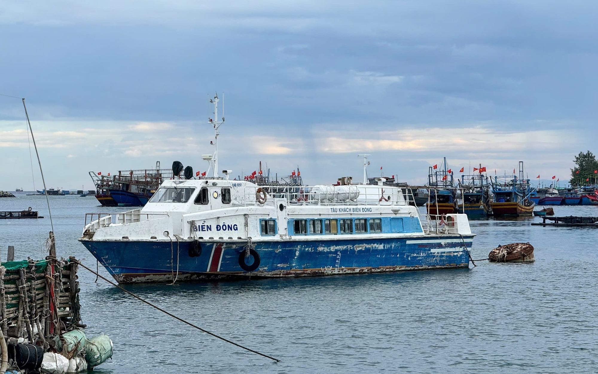 Cận cảnh những con t&agrave;u kh&aacute;ch triệu đ&ocirc; bỏ hoang ở L&yacute; Sơn- Ảnh 12.