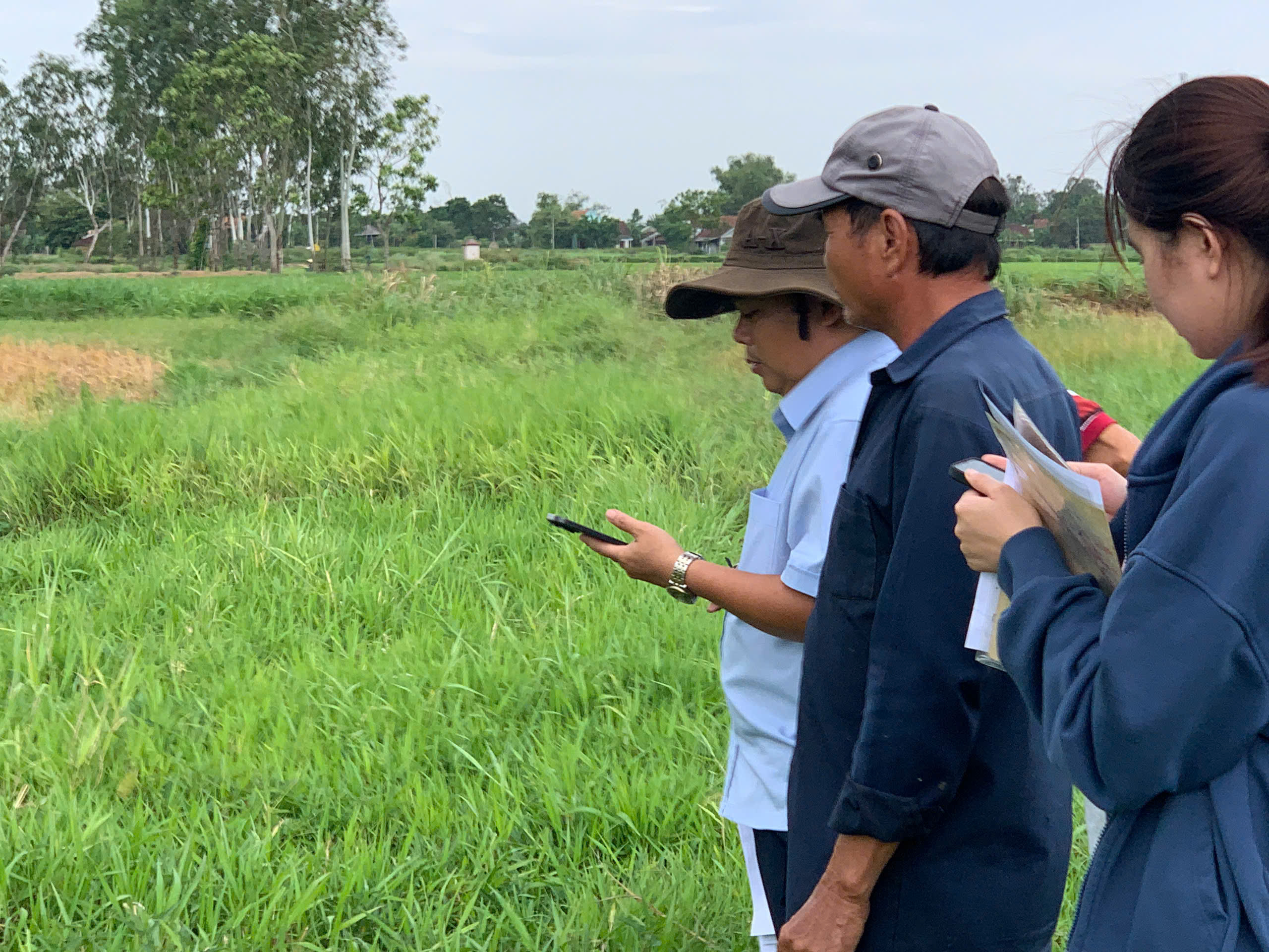 Gia Lai y&ecirc;u cầu ho&agrave;n thiện hồ sơ dự &aacute;n GPMB, t&aacute;i định cư đường sắt tốc độ cao- Ảnh 1.