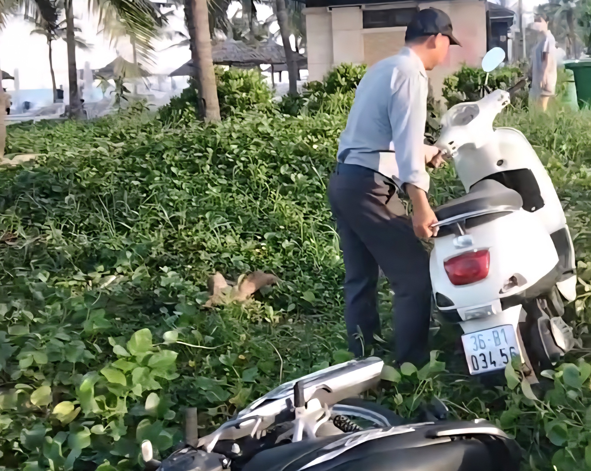 L&agrave;m r&otilde; th&ocirc;ng tin xe m&aacute;y của du kh&aacute;ch bị nh&acirc;n vi&ecirc;n trật tự x&ocirc; đổ ở b&atilde;i biển Đ&agrave; Nẵng- Ảnh 1.