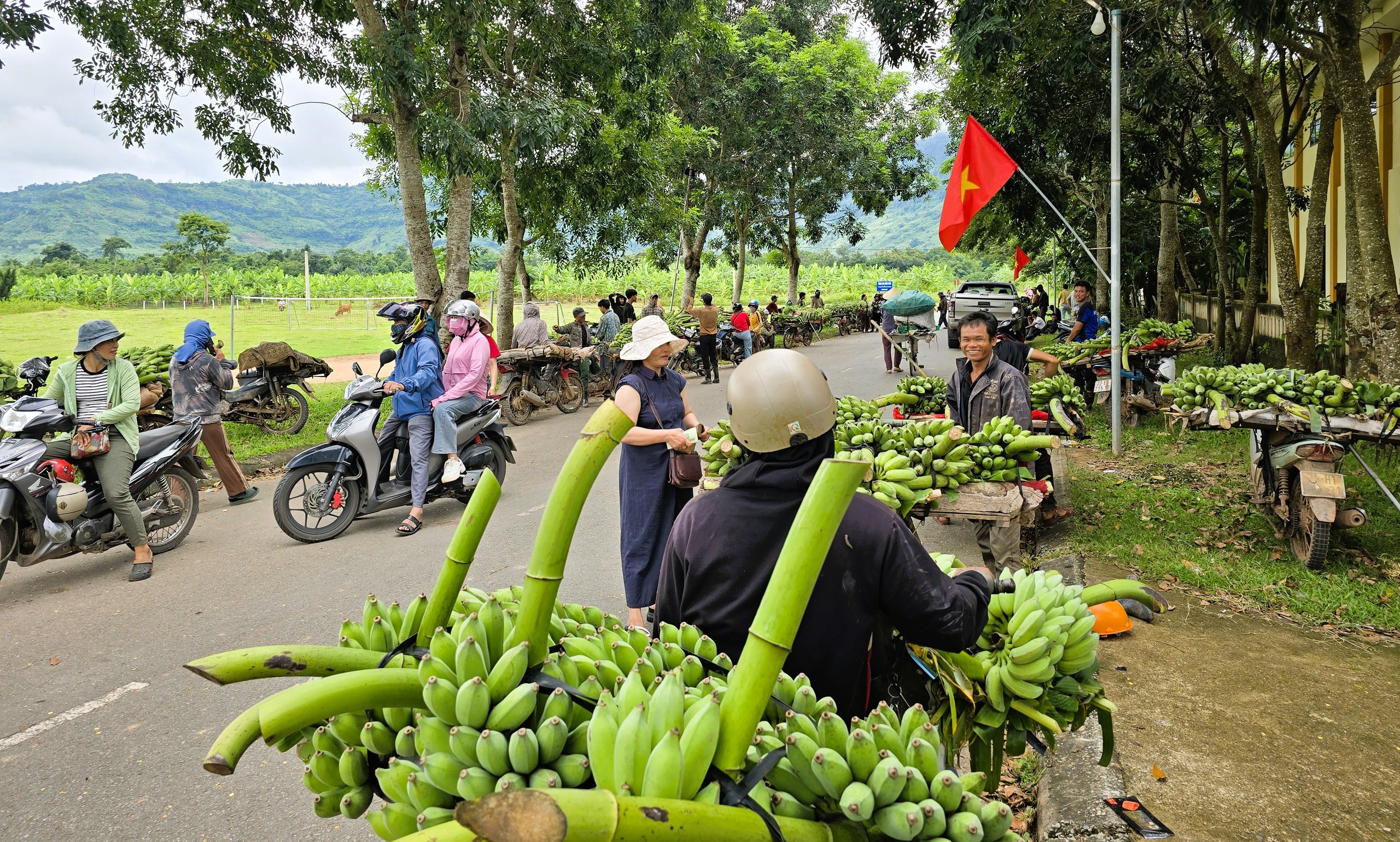 Cận cảnh chợ chuối T&acirc;n Long ở địa điểm tạm sau vụ tai nạn giao th&ocirc;ng 3 người chết- Ảnh 15.