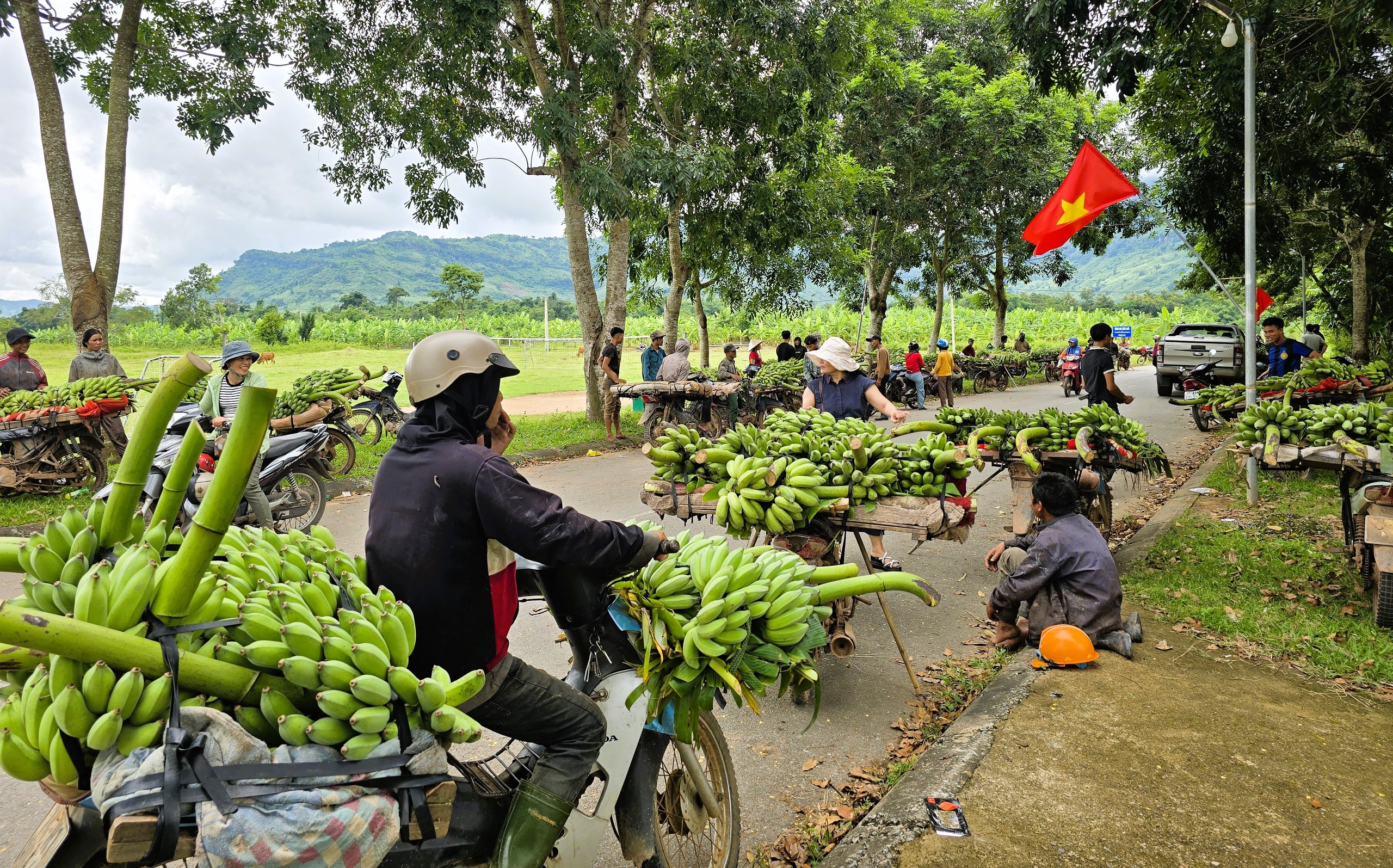 Cận cảnh chợ chuối T&acirc;n Long ở địa điểm tạm sau vụ tai nạn giao th&ocirc;ng 3 người chết- Ảnh 7.