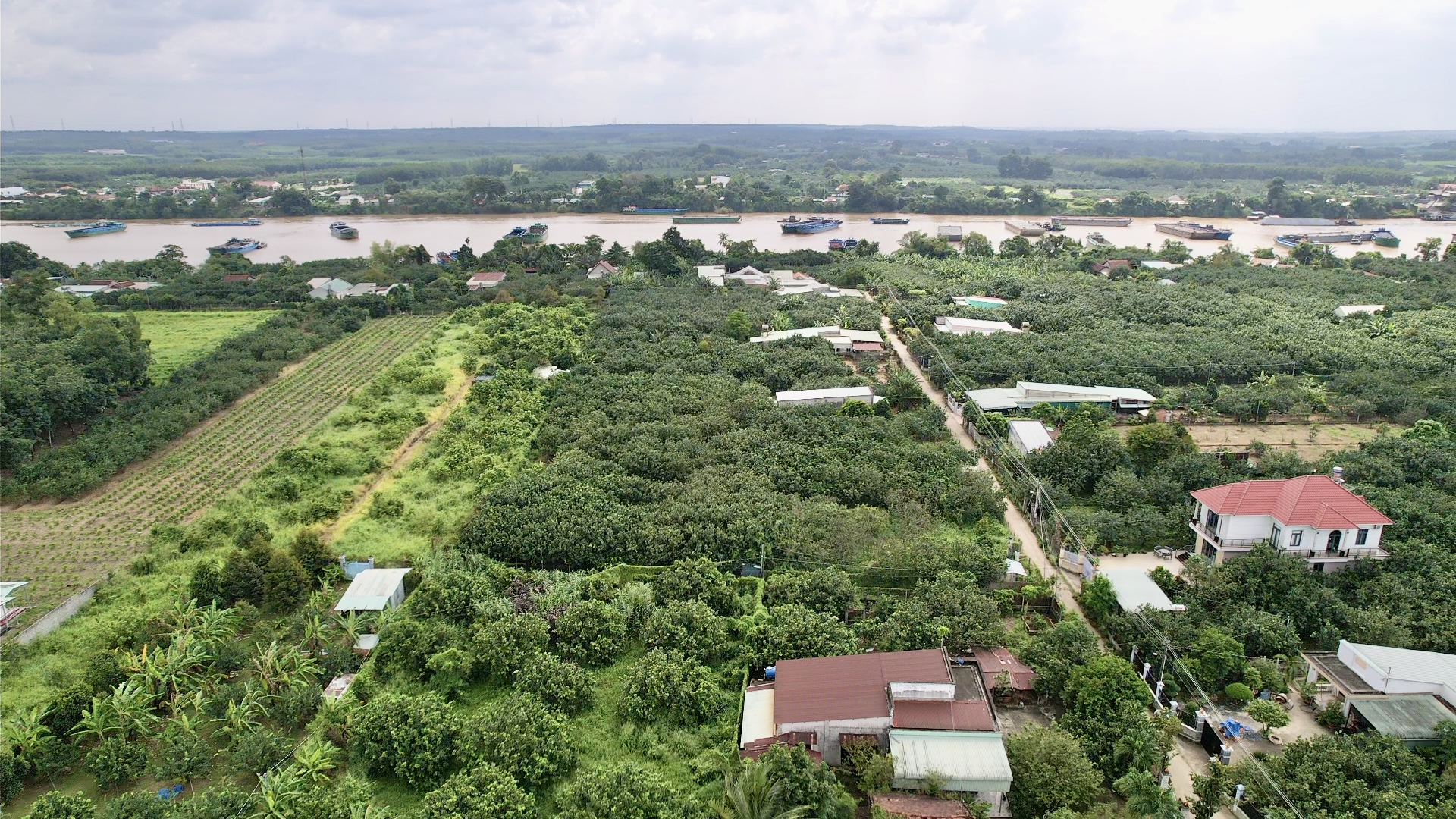 Đồng Nai: Đường bê tông về tận ngõ, đời sống bà con khấm khá lên từng ngày- Ảnh 10. Đồng Nai: Đường bê tông về tận ngõ, đời sống bà con khấm khá lên từng ngày- Ảnh 10.