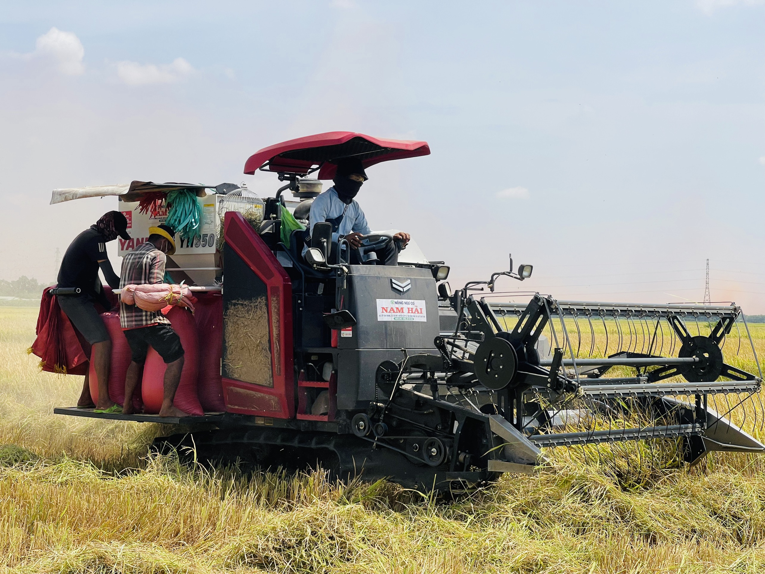 Đồng Nai: Đường bê tông về tận ngõ, đời sống bà con khấm khá lên từng ngày- Ảnh 7. Đồng Nai: Đường bê tông về tận ngõ, đời sống bà con khấm khá lên từng ngày- Ảnh 7.