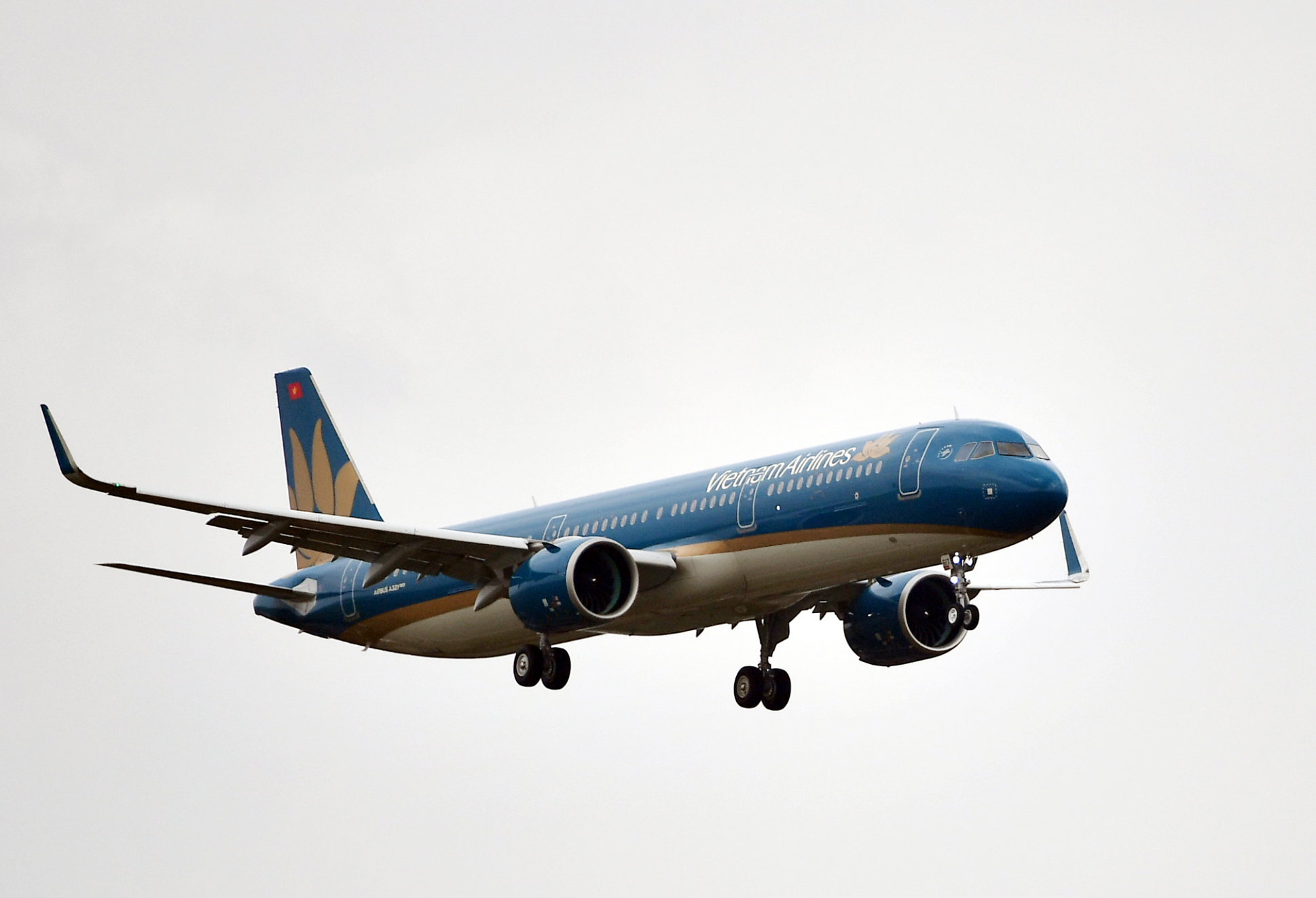 Nhiều chuyến bay bị ảnh hưởng do siêu bão Ragasa- Ảnh 1. Nhiều chuyến bay bị ảnh hưởng do siêu bão Ragasa- Ảnh 1.