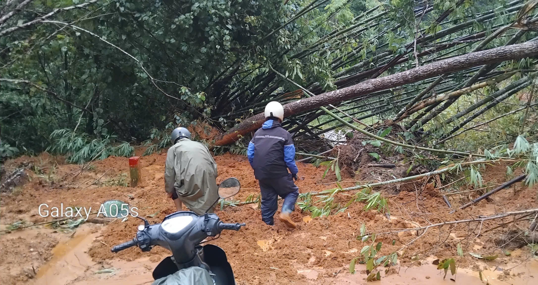 Lở n&uacute;i khiến đất đ&aacute; tr&agrave;n tỉnh lộ, chia cắt giao th&ocirc;ng ở x&atilde; bi&ecirc;n giới Quảng Ng&atilde;i- Ảnh 4.