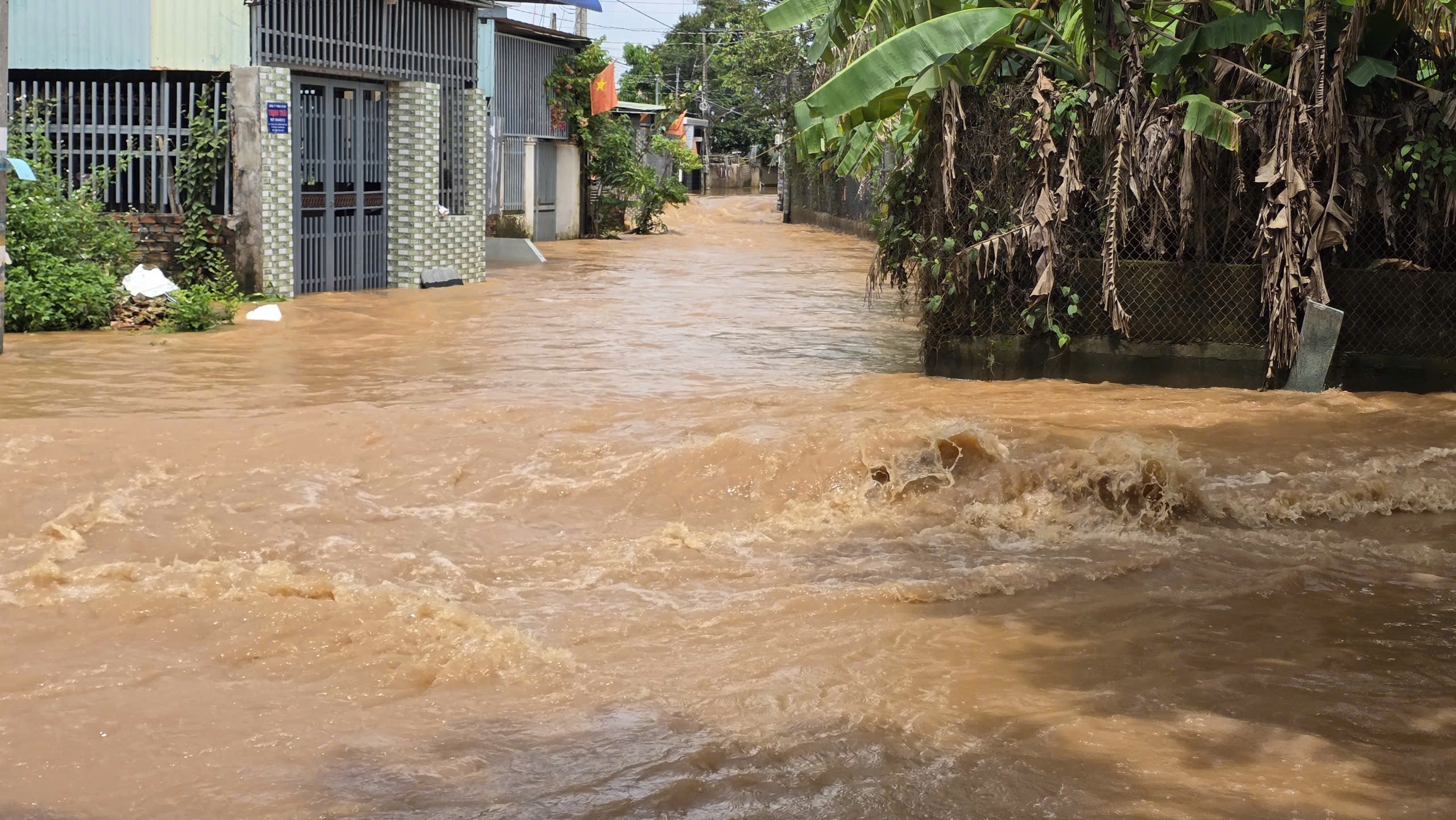 Lũ đổ về s&ocirc;ng Bu&ocirc;ng, nước tr&agrave;n qua cao tốc Bi&ecirc;n H&ograve;a - Vũng T&agrave;u- Ảnh 4.