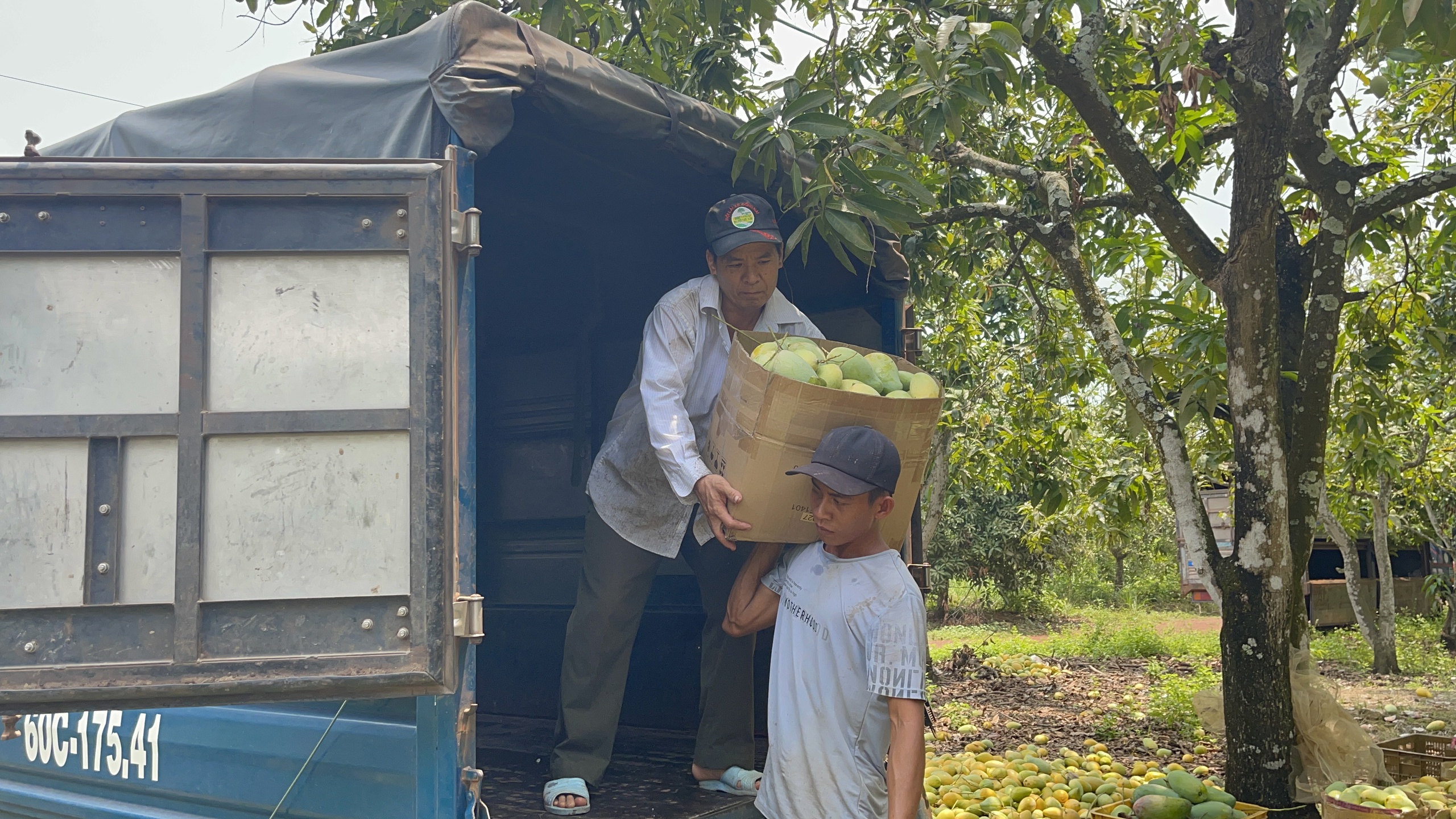 Đồng Nai: Đường bê tông về tận ngõ, đời sống bà con khấm khá lên từng ngày- Ảnh 8. Đồng Nai: Đường bê tông về tận ngõ, đời sống bà con khấm khá lên từng ngày- Ảnh 8.
