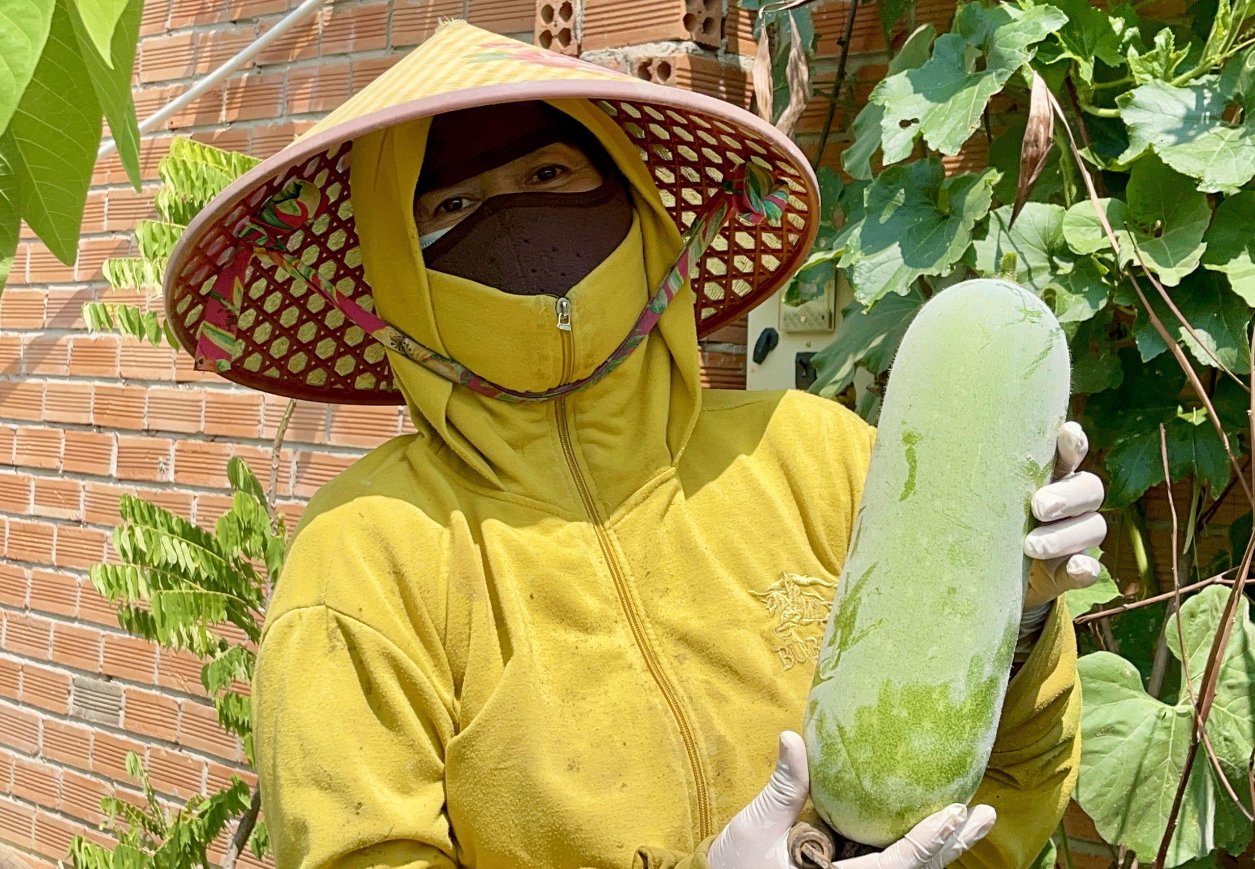 Đồng Nai: Đường bê tông về tận ngõ, đời sống bà con khấm khá lên từng ngày- Ảnh 4. Đồng Nai: Đường bê tông về tận ngõ, đời sống bà con khấm khá lên từng ngày- Ảnh 4.