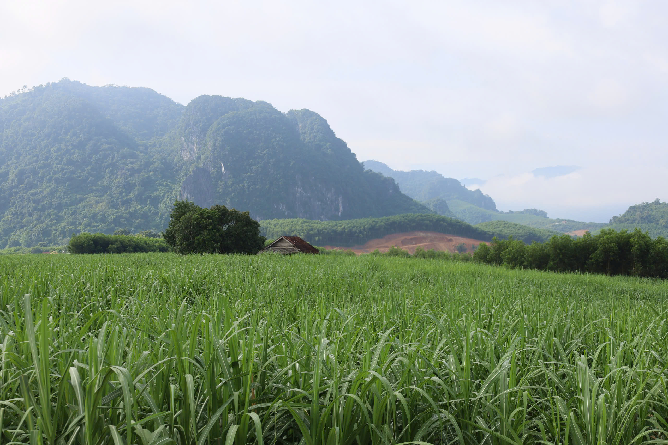 Nghệ An đầu tư 80 tỷ đồng xây cầu Kẻ Nính, dự kiến khởi công tháng 11/2025- Ảnh 6. Nghệ An đầu tư 80 tỷ đồng xây cầu Kẻ Nính, dự kiến khởi công tháng 11/2025- Ảnh 6.