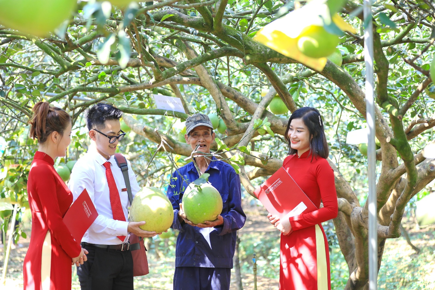 Agribank th&uacute;c đẩy ph&aacute;t triển bền vững với chương tr&igrave;nh ưu đ&atilde;i &ldquo;xanh&rdquo;- Ảnh 1.