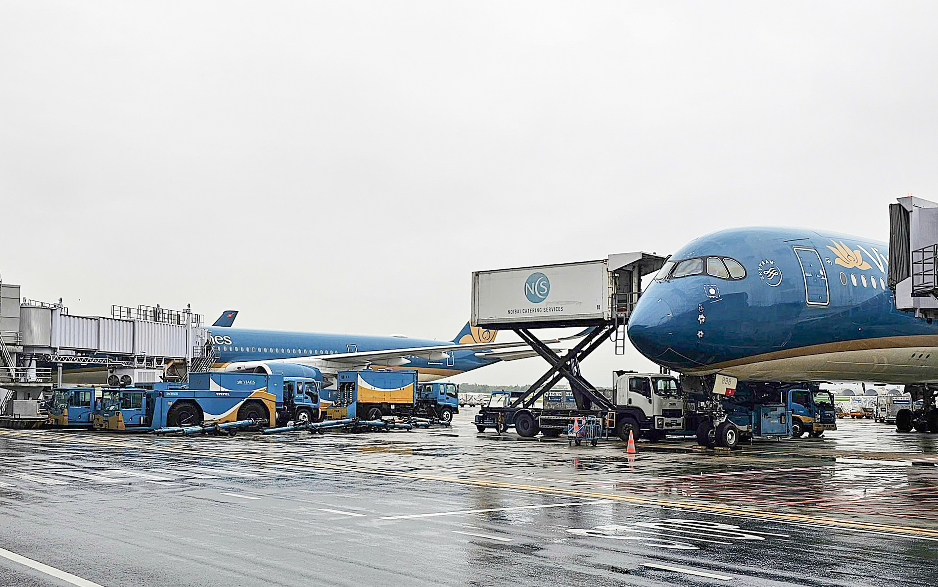 H&atilde;ng h&agrave;ng kh&ocirc;ng hủy nhiều chuyến bay tr&aacute;nh b&atilde;o Ragasa- Ảnh 1.