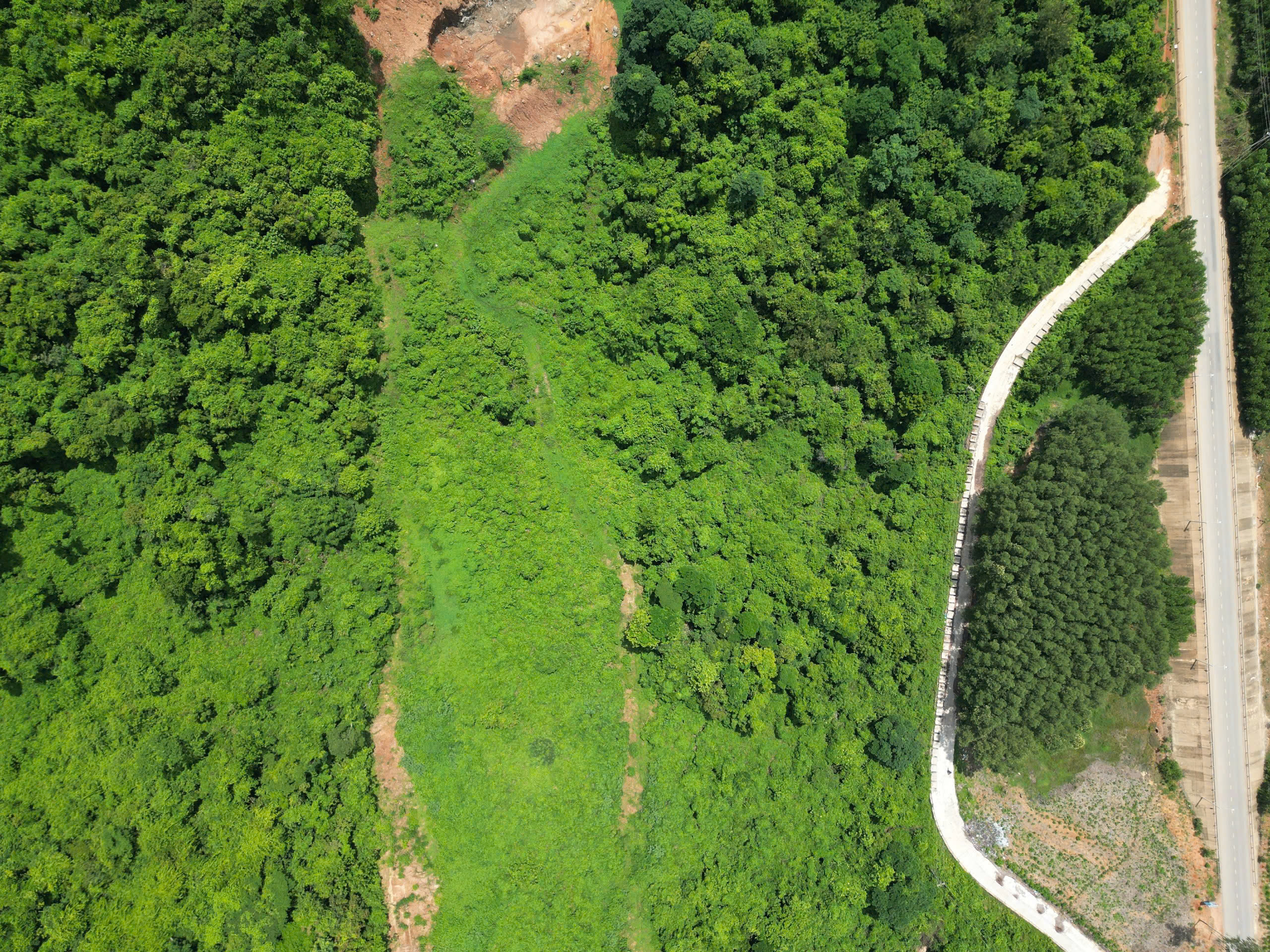 Gia Lai: Hơn 10.300 tỷ đồng GPMB, t&aacute;i định cư cho dự &aacute;n đường sắt tốc độ cao- Ảnh 1.