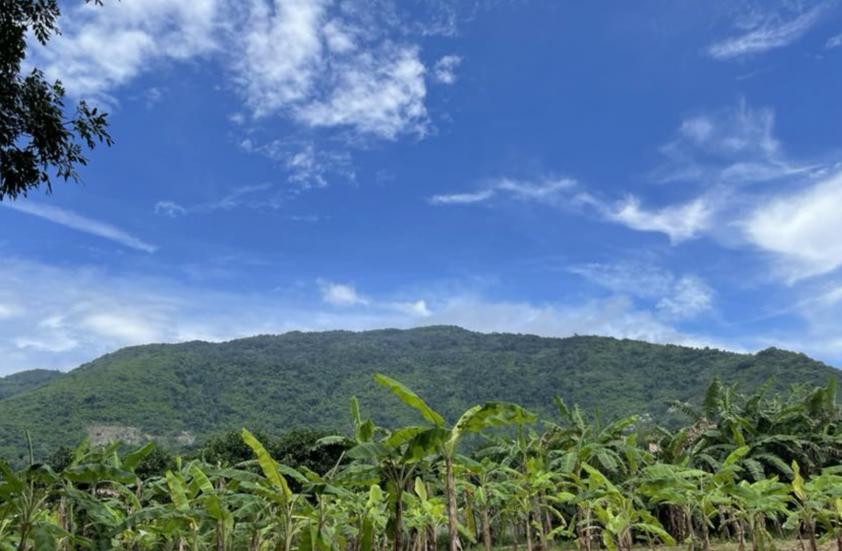 Đồng Nai: Đẩy nhanh dự án đô thị du lịch 1.450ha tại núi Chứa Chan và hồ Núi Le- Ảnh 1. Đồng Nai: Đẩy nhanh dự án đô thị du lịch 1.450ha tại núi Chứa Chan và hồ Núi Le- Ảnh 1.