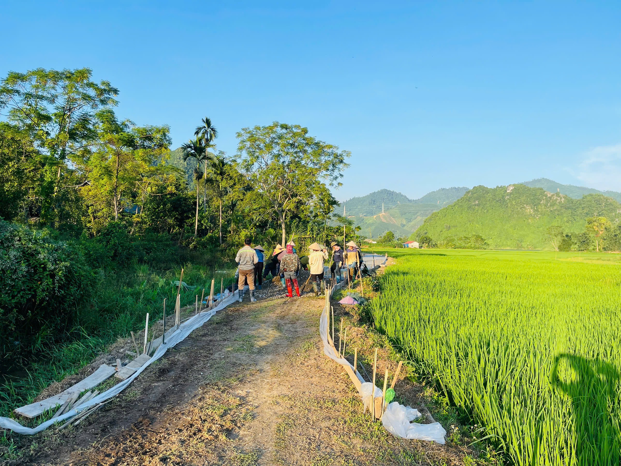 Chung sức chung l&ograve;ng ki&ecirc;n cố h&oacute;a đường b&ecirc; t&ocirc;ng ở L&agrave;o Cai- Ảnh 3.