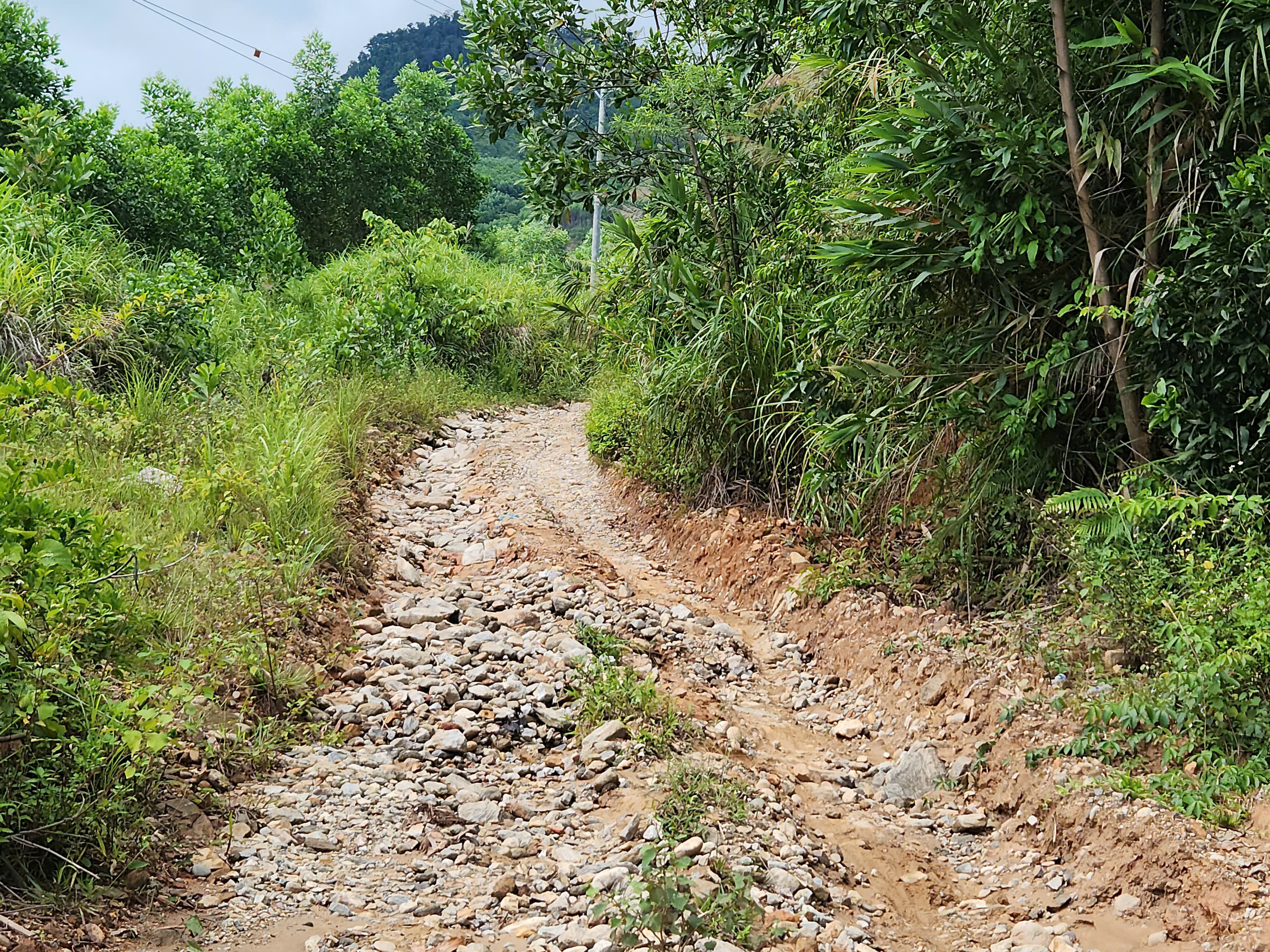 Chật vật đi lại, người d&acirc;n v&ugrave;ng s&acirc;u ở Quảng Ng&atilde;i mong sớm n&acirc;ng cấp hạ tầng giao th&ocirc;ng- Ảnh 6.