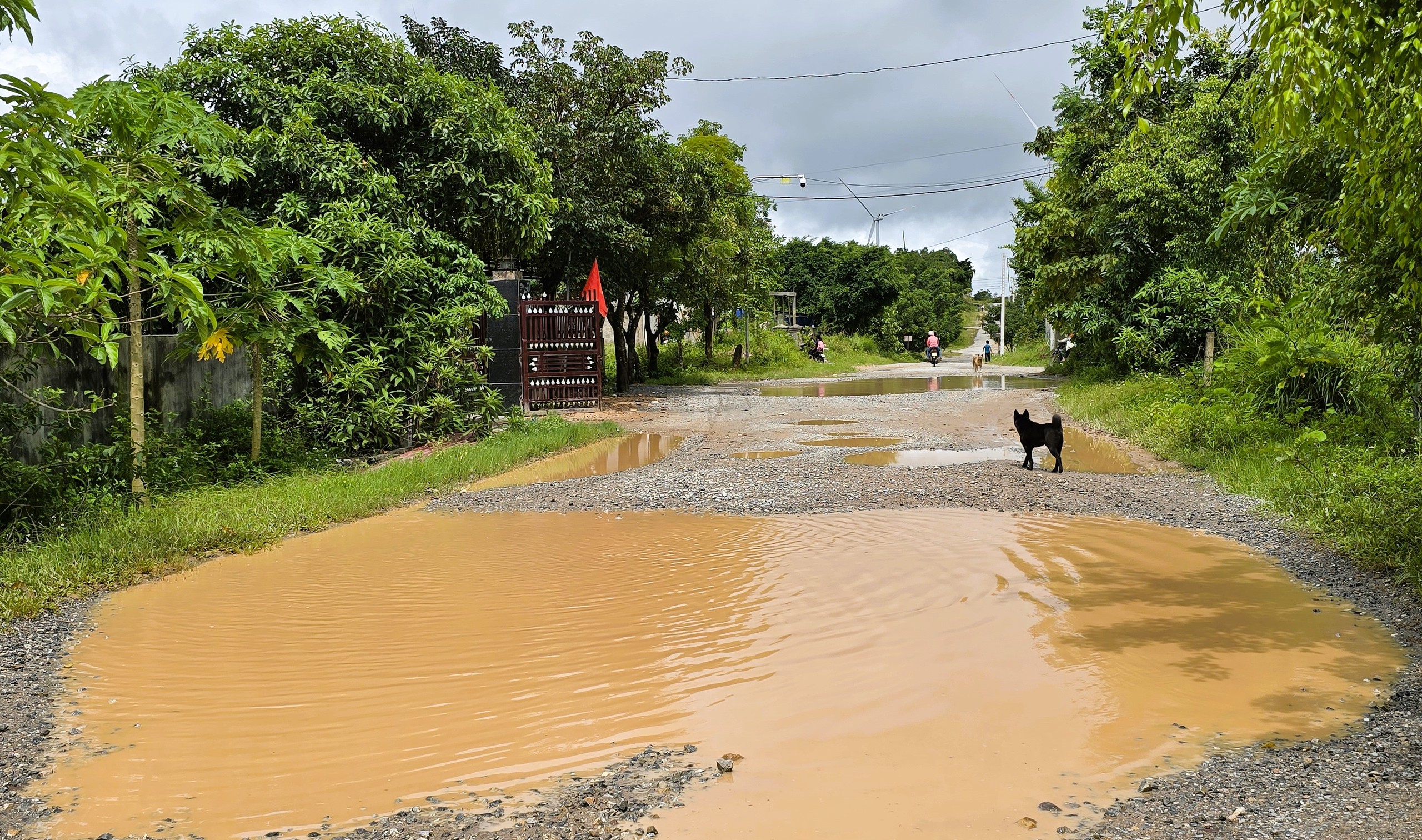 Cận cảnh tuyến đường li&ecirc;n x&atilde; ở Quảng Trị xuống cấp hư hỏng, h&agrave;ng loạt &ldquo;ổ voi&rdquo;- Ảnh 9.