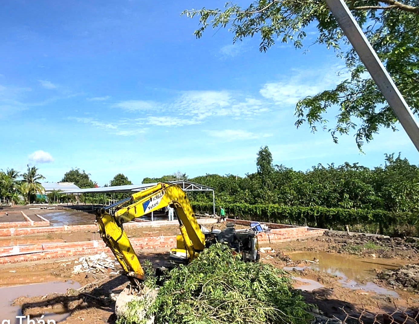 Sau 2 th&aacute;ng khởi c&ocirc;ng, cao tốc Mỹ An - Cao L&atilde;nh đang triển khai ra sao?- Ảnh 1.