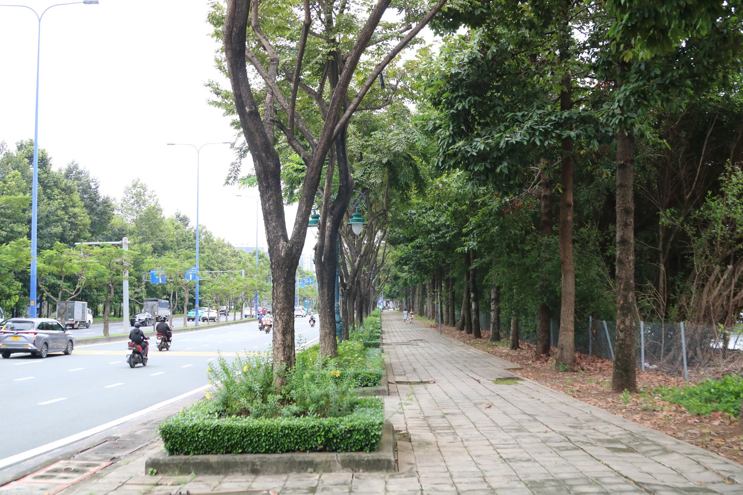 Cận cảnh tuyến đường Mai Ch&iacute; Thọ sắp c&oacute; l&agrave;n ri&ecirc;ng cho xe đạp trị gi&aacute; hơn 12,7 tỷ đồng- Ảnh 10.