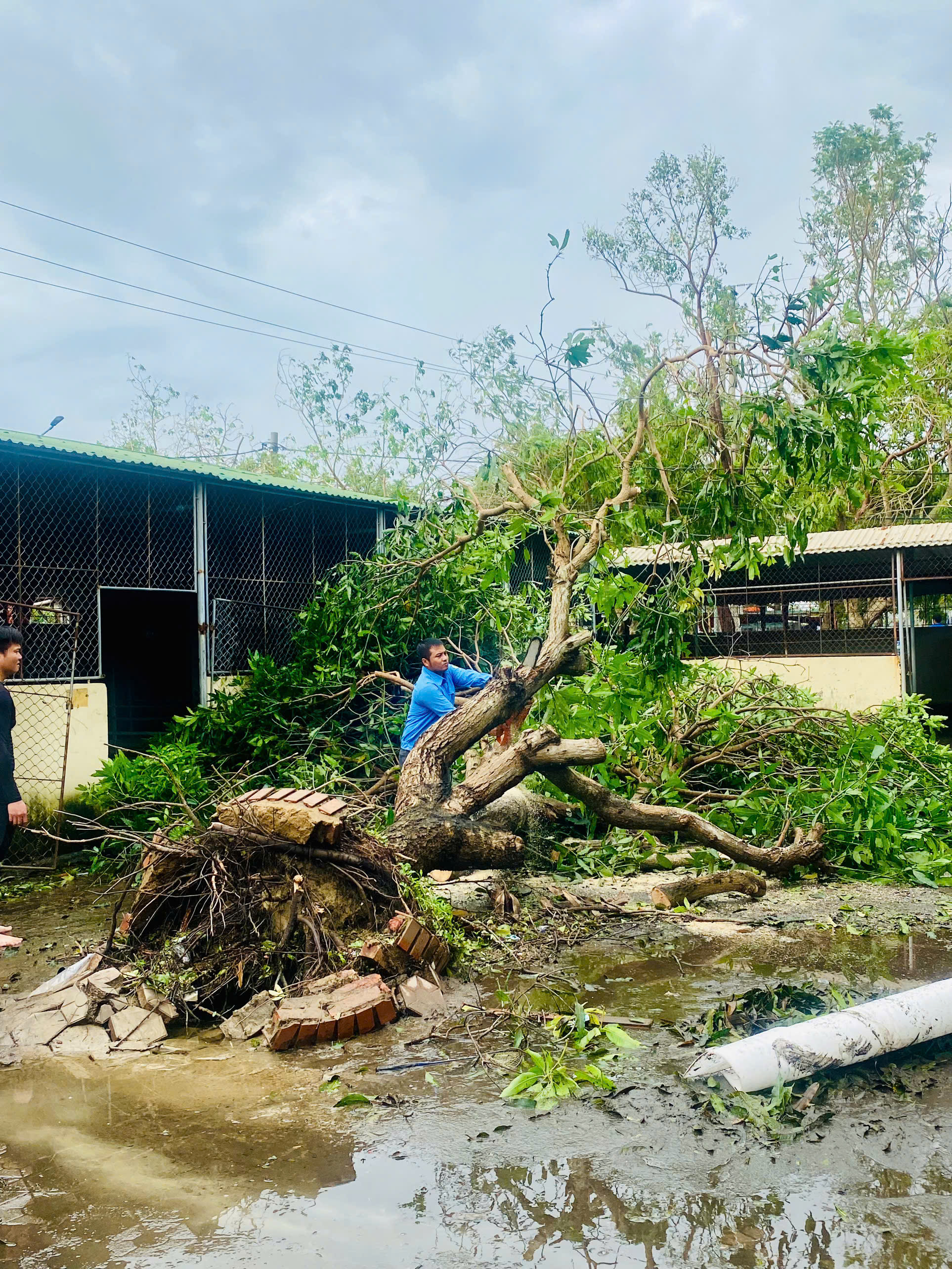 Trường lớp hư hỏng nghi&ecirc;m trọng, học sinh Nghệ An chưa thể đi học trở lại- Ảnh 6.