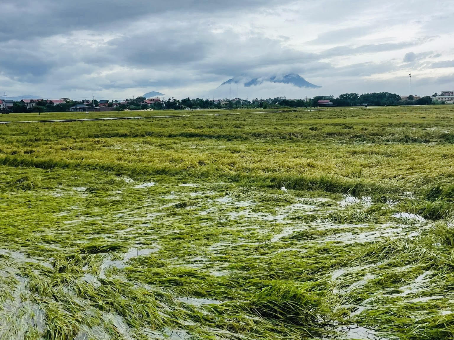 C&aacute;c x&atilde; v&ugrave;ng ven H&agrave; Nội căng m&igrave;nh ứng ph&oacute; hậu quả mưa b&atilde;o- Ảnh 16.