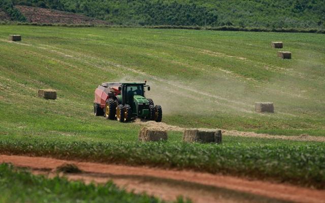 Những cỗ &ldquo;si&ecirc;u m&aacute;y&rdquo; tr&ecirc;n c&aacute;nh đồng nguy&ecirc;n liệu 8.100ha của TH true MILK- Ảnh 1.