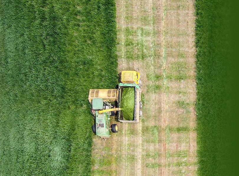 Những cỗ &ldquo;si&ecirc;u m&aacute;y&rdquo; tr&ecirc;n c&aacute;nh đồng nguy&ecirc;n liệu 8.100ha của TH true MILK- Ảnh 7.