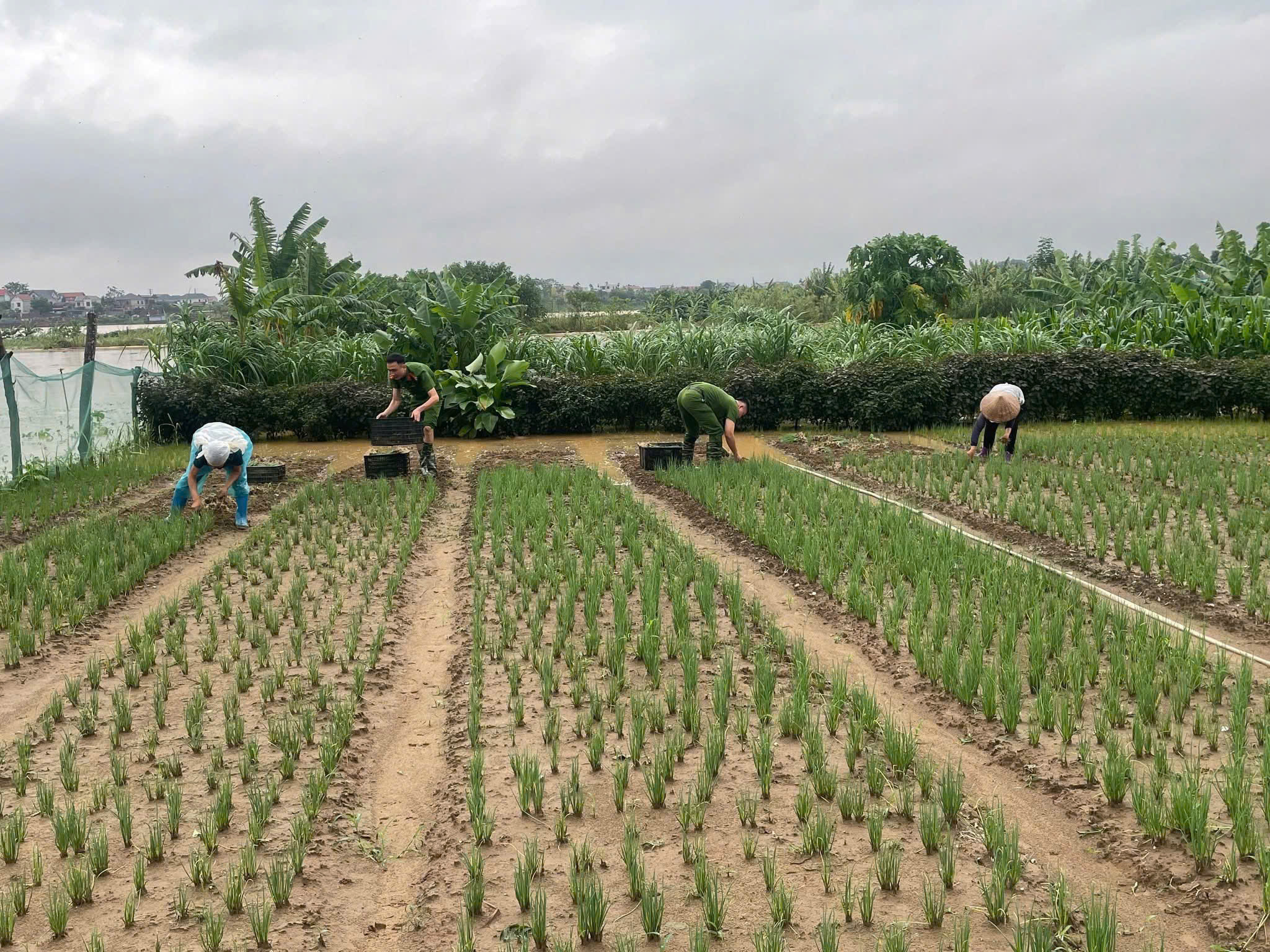 C&ocirc;ng an H&agrave; Nội lội nước hỗ trợ người d&acirc;n trong mưa lũ- Ảnh 13.